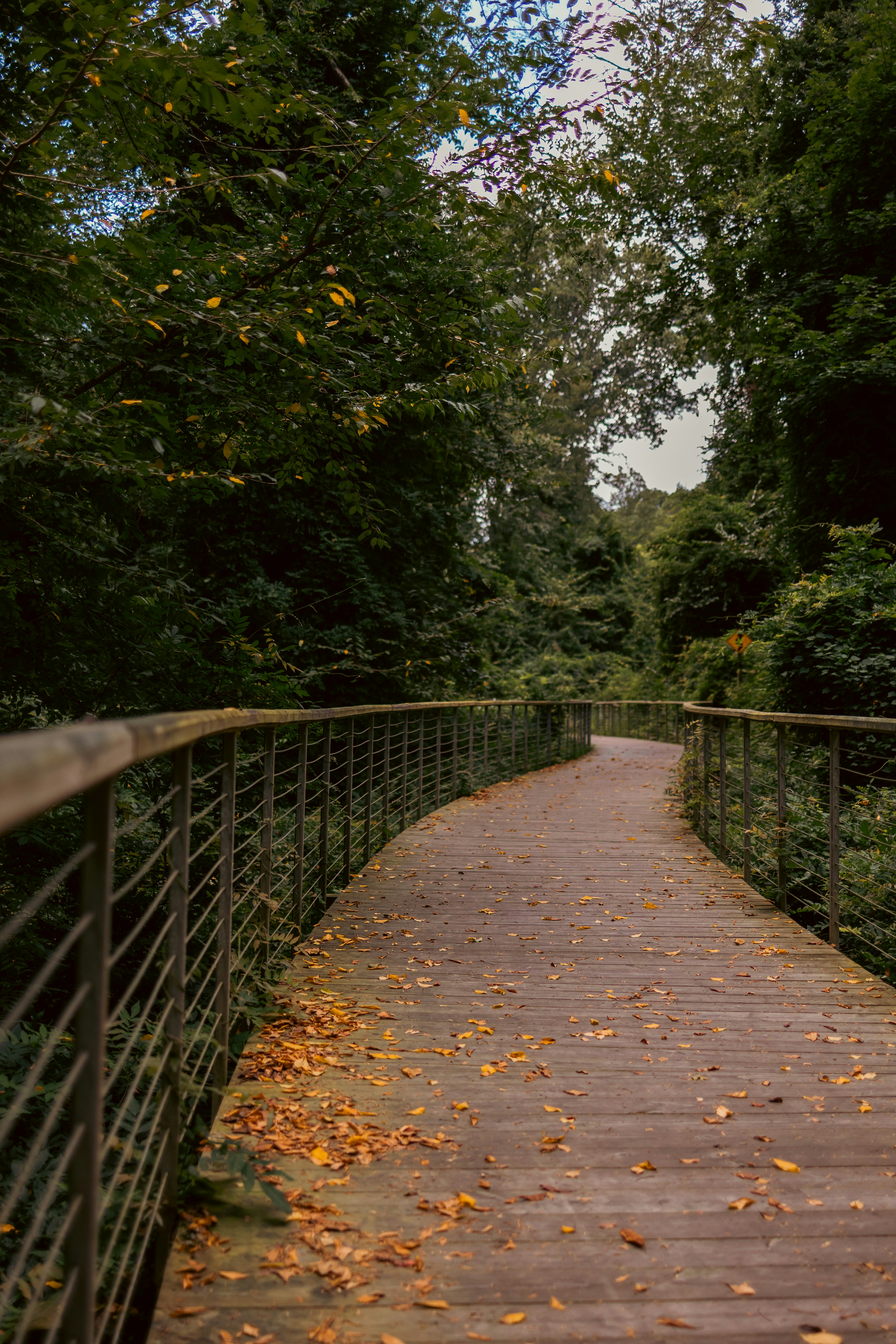 Photo by stills_byliz