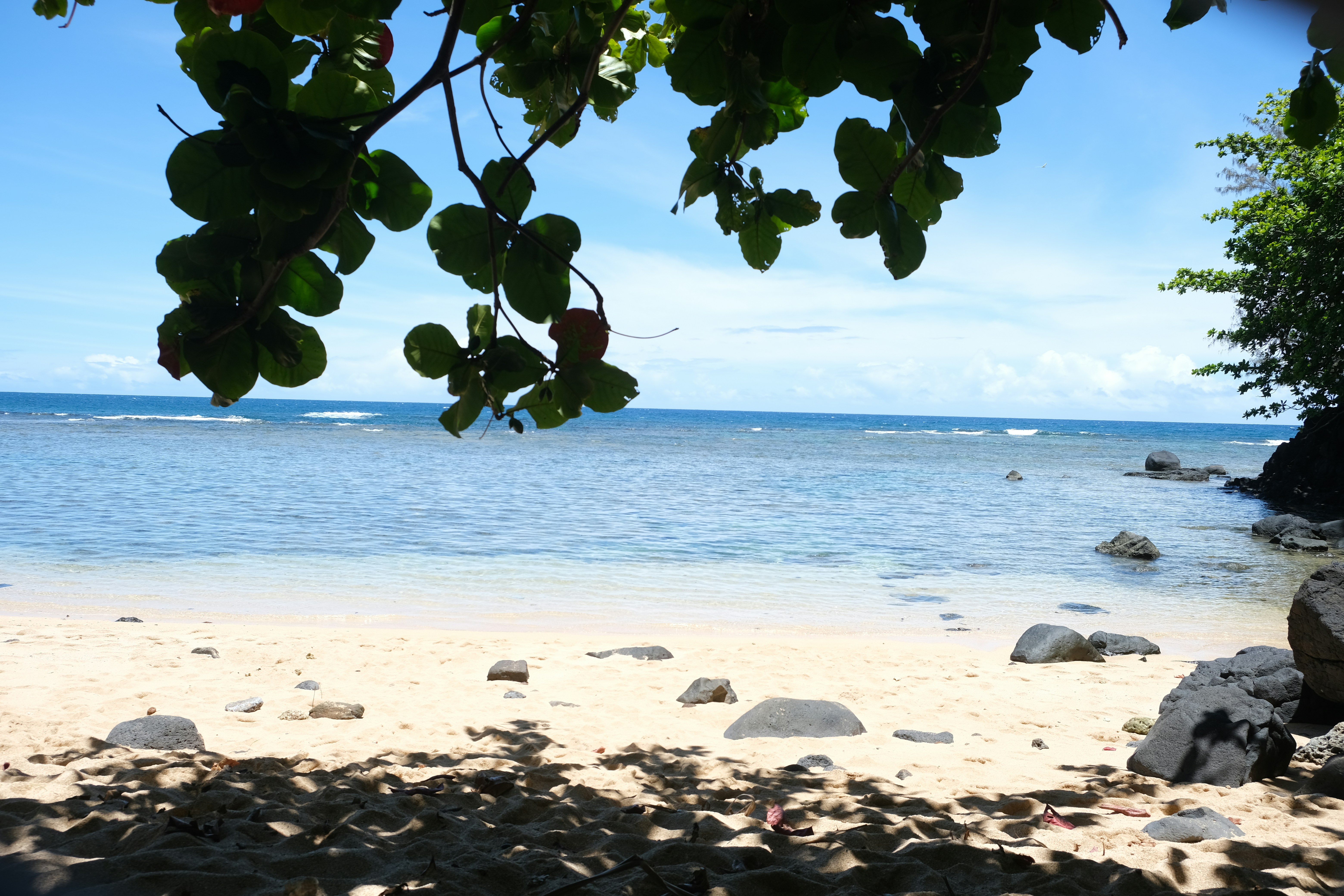 Photo by thesawyercampaign