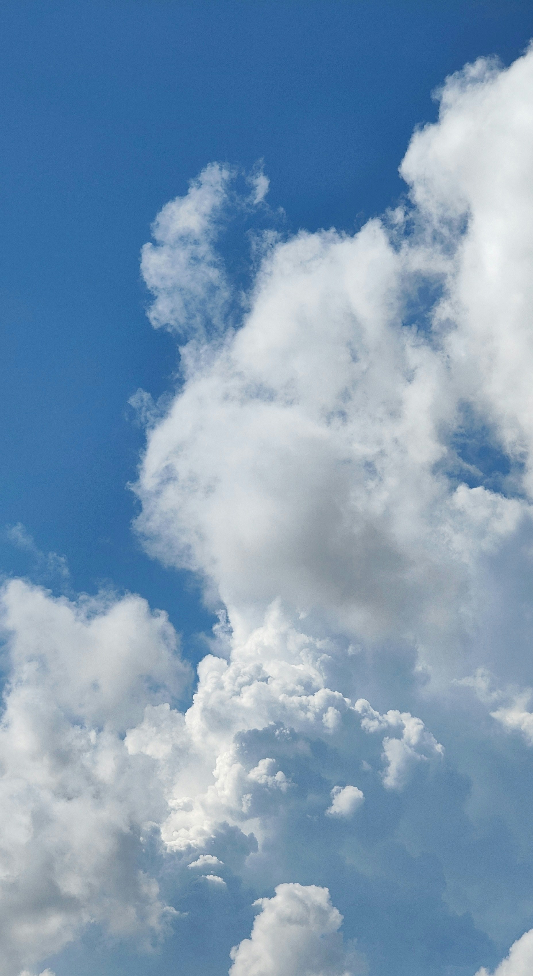 Photo by thomaskinto