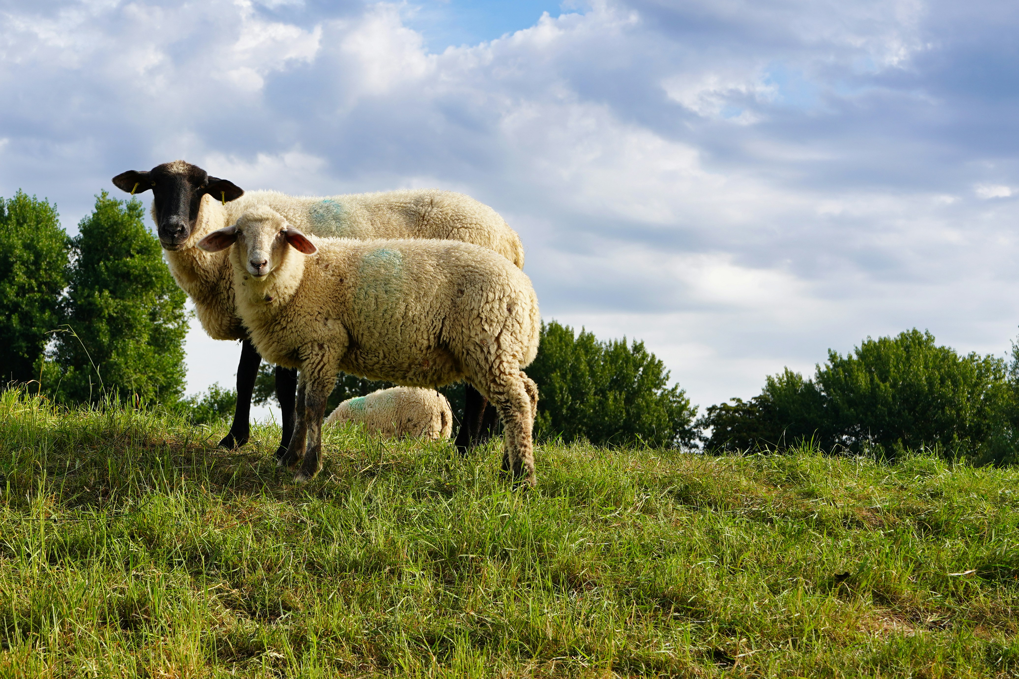 Photo by hamburgmeinefreundin