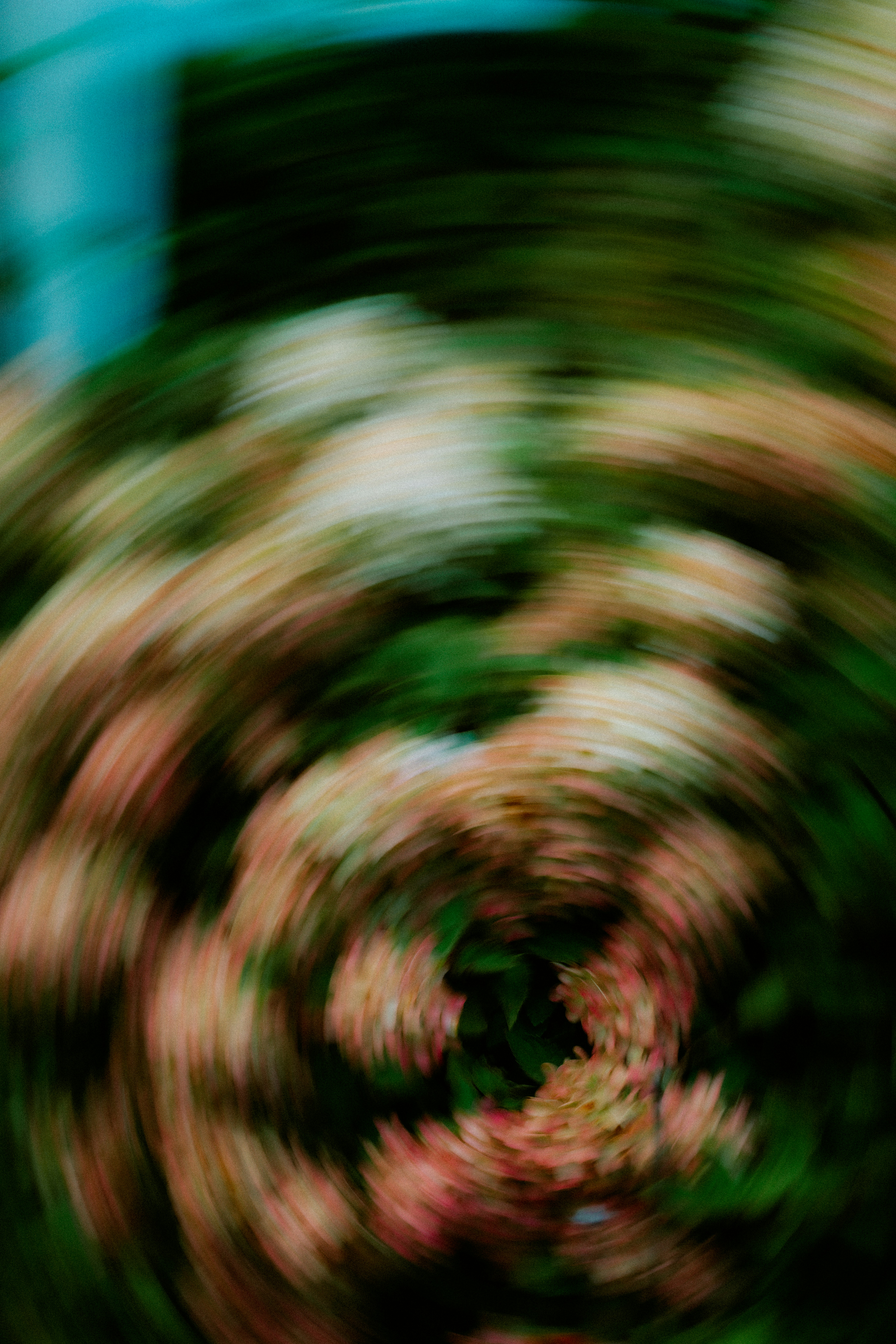 Photo by brookebalentine