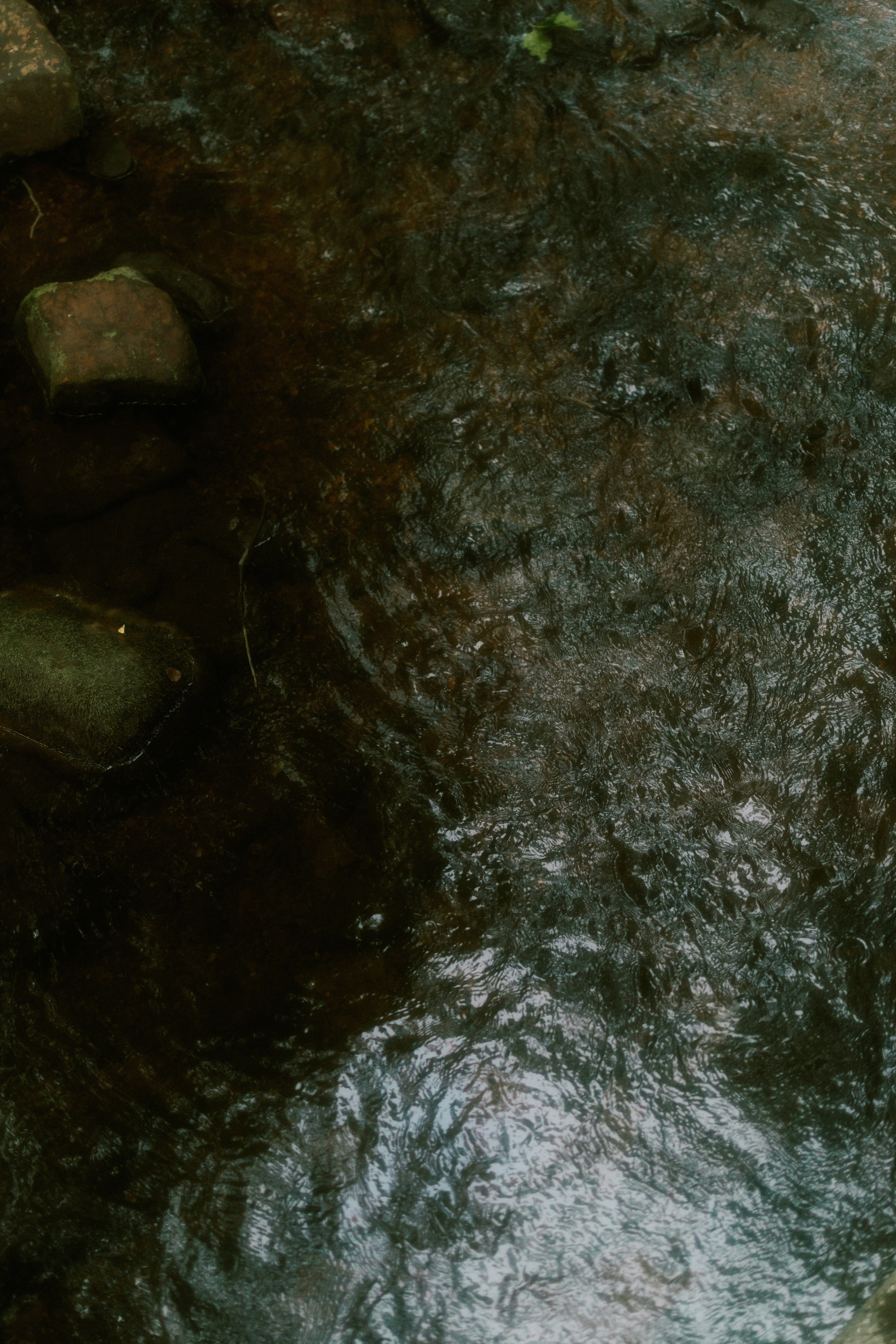 Photo by brookebalentine