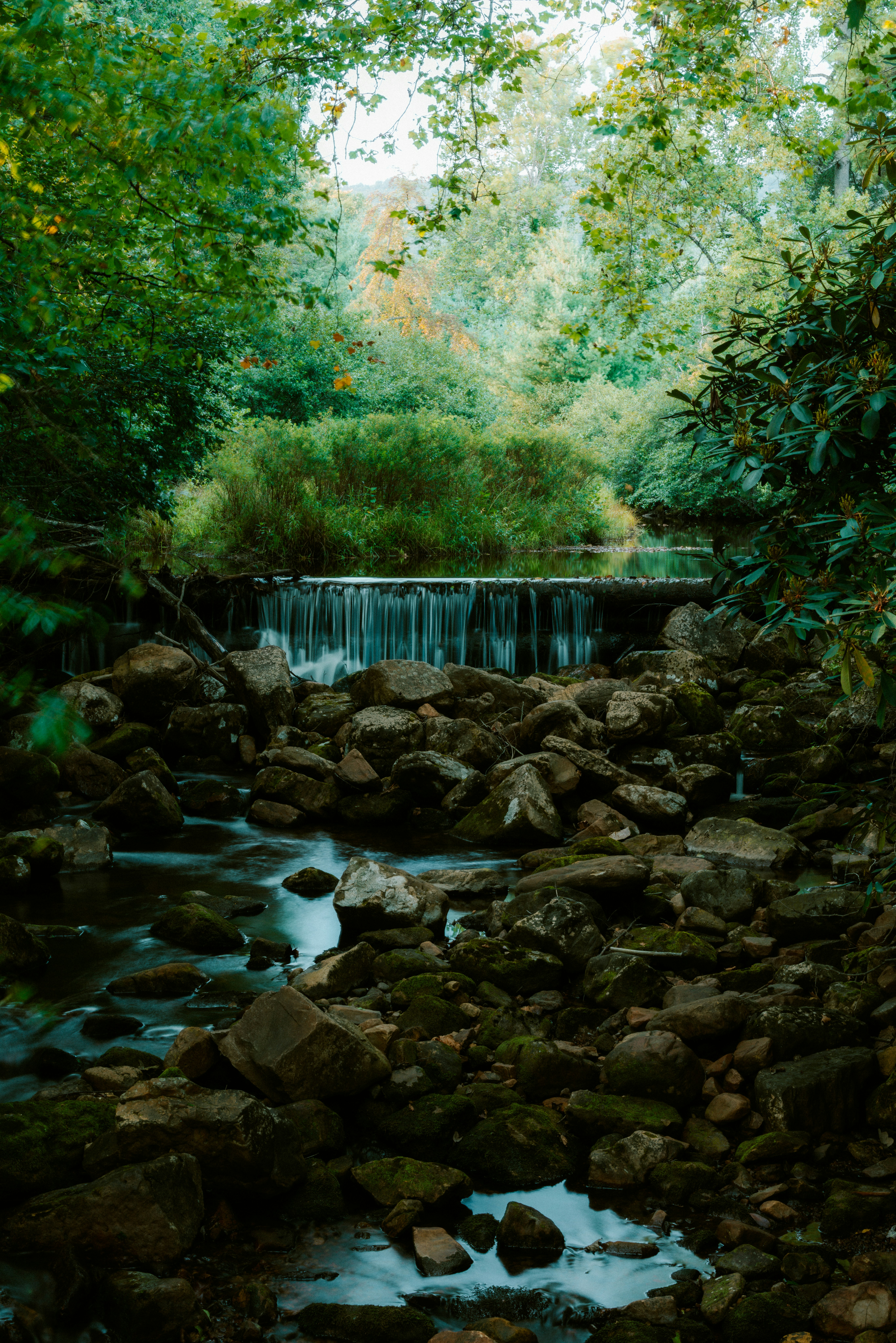 Photo by brookebalentine