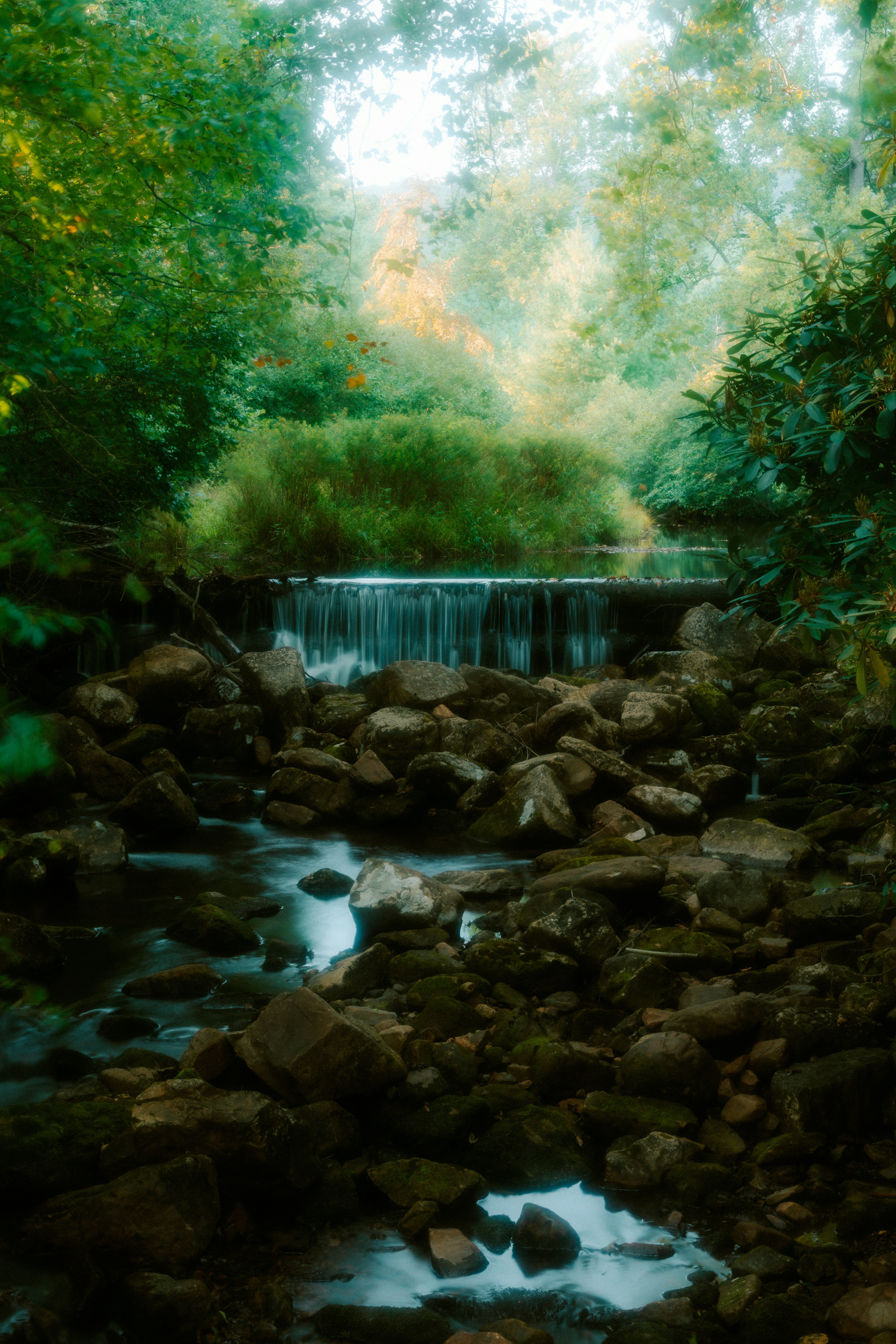 Photo by brookebalentine