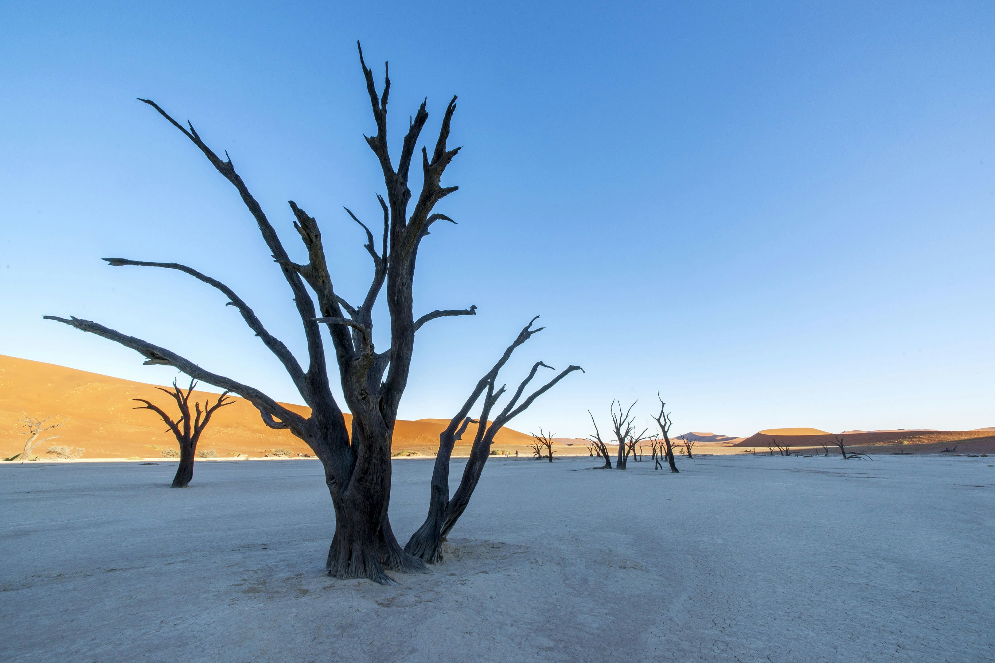 Tips For Discovering An Economical Integrative Health Specialist Close To You