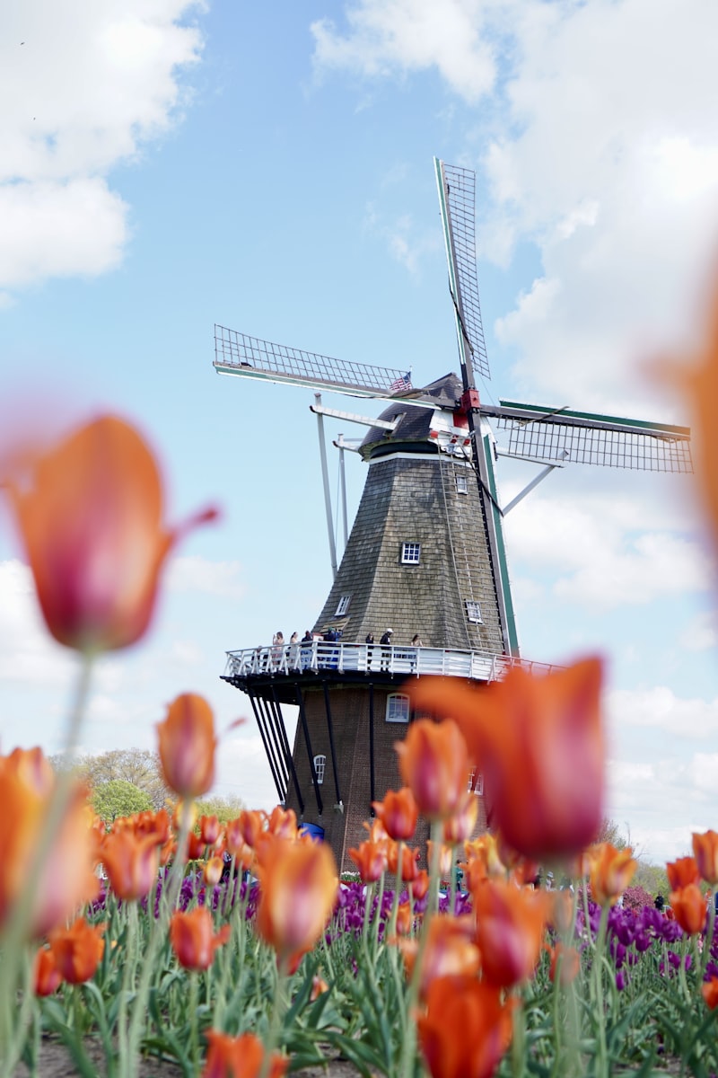 Private Tours & Day Trips