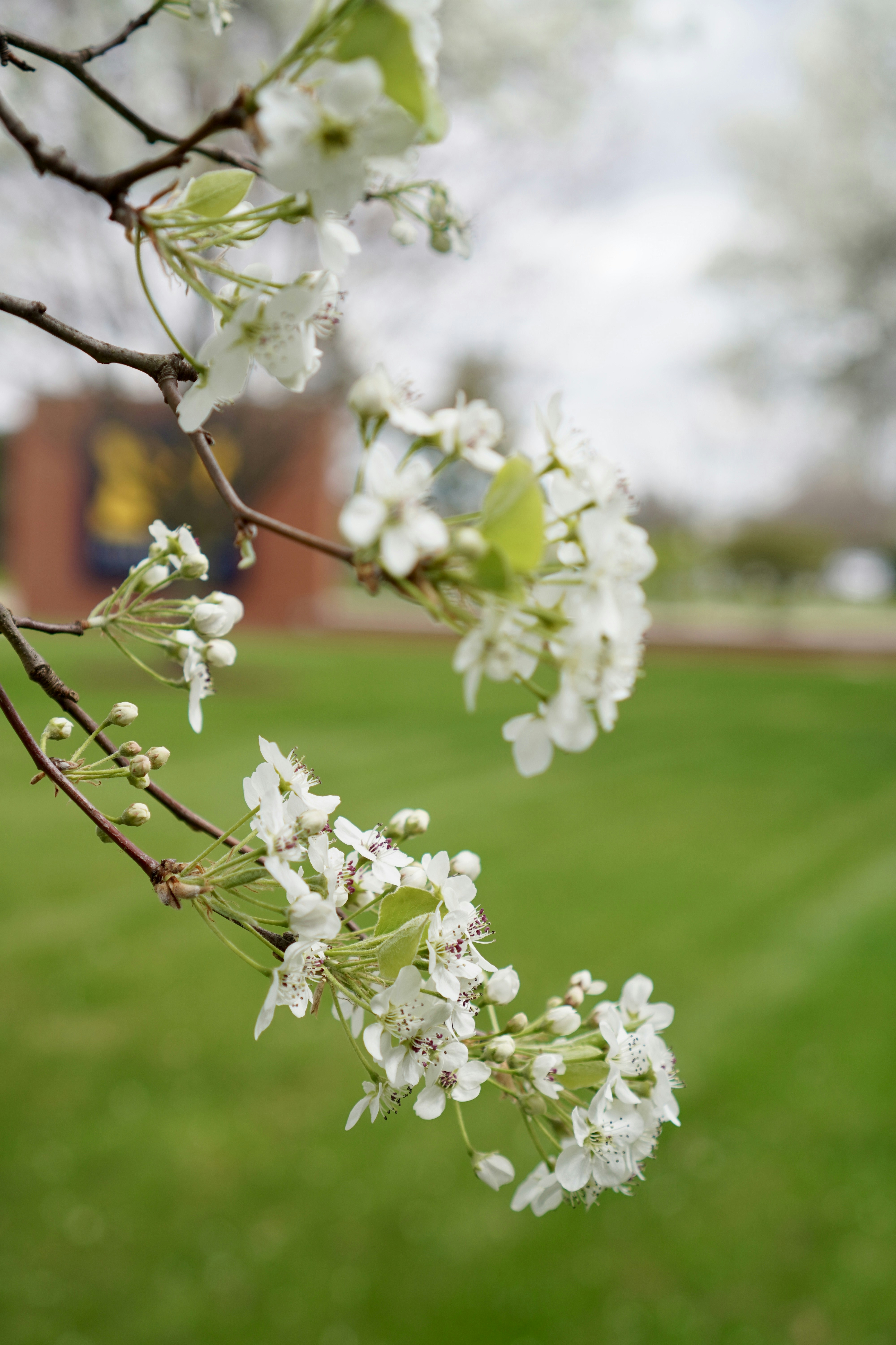 Photo by shomitro_kumar