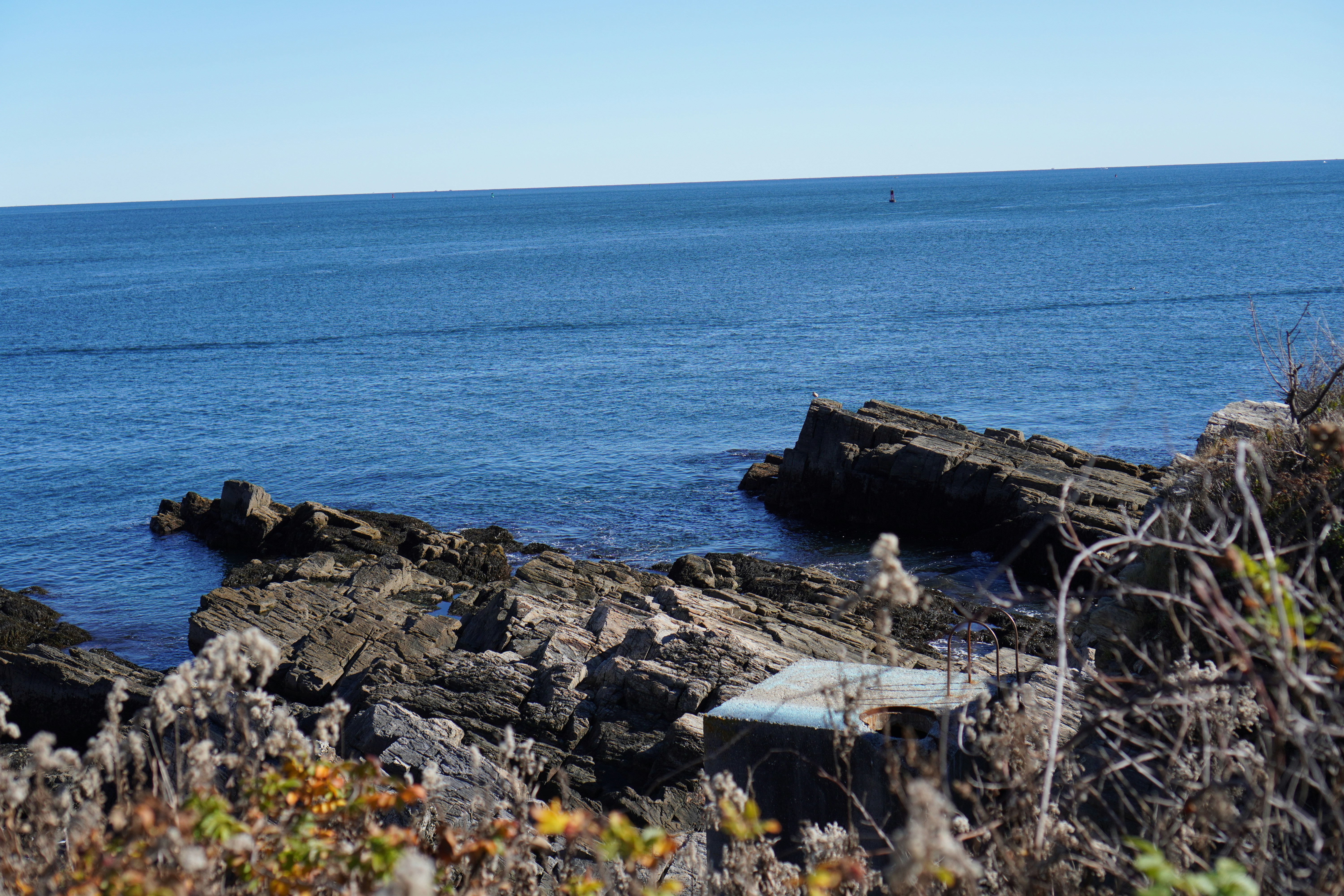 Photo by shomitro_kumar