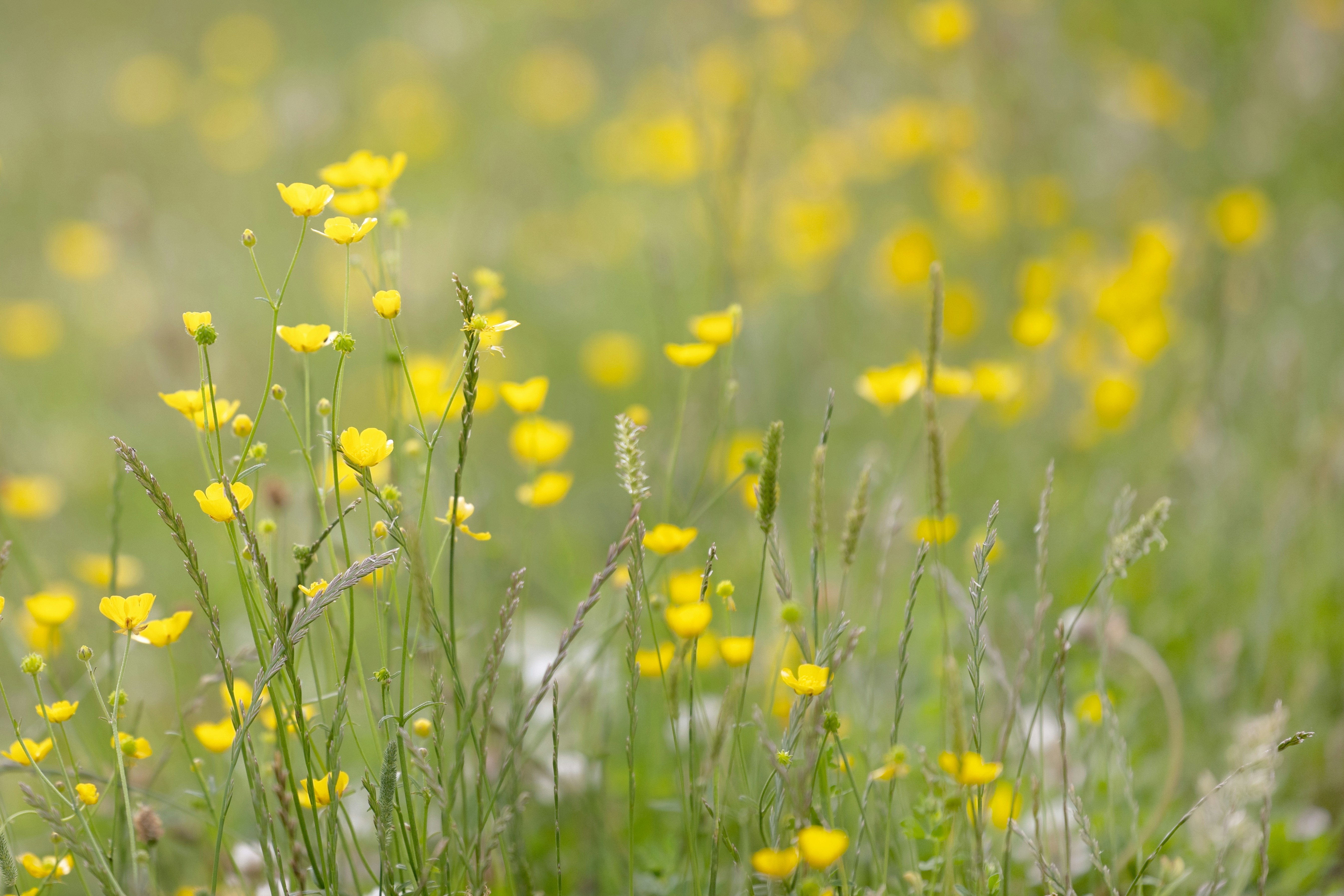 Photo by nataliekinnear