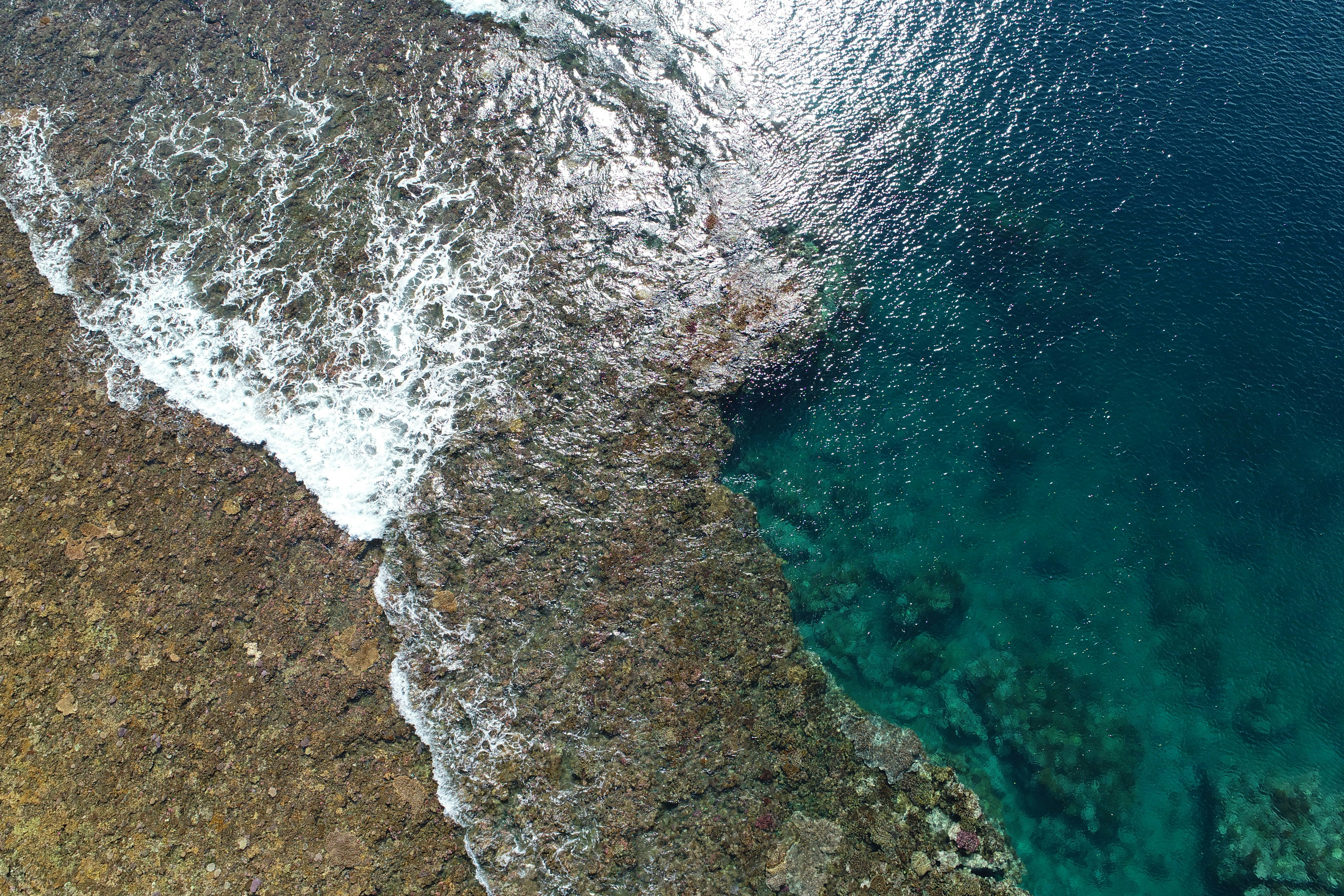 Photo by aleen_prasad