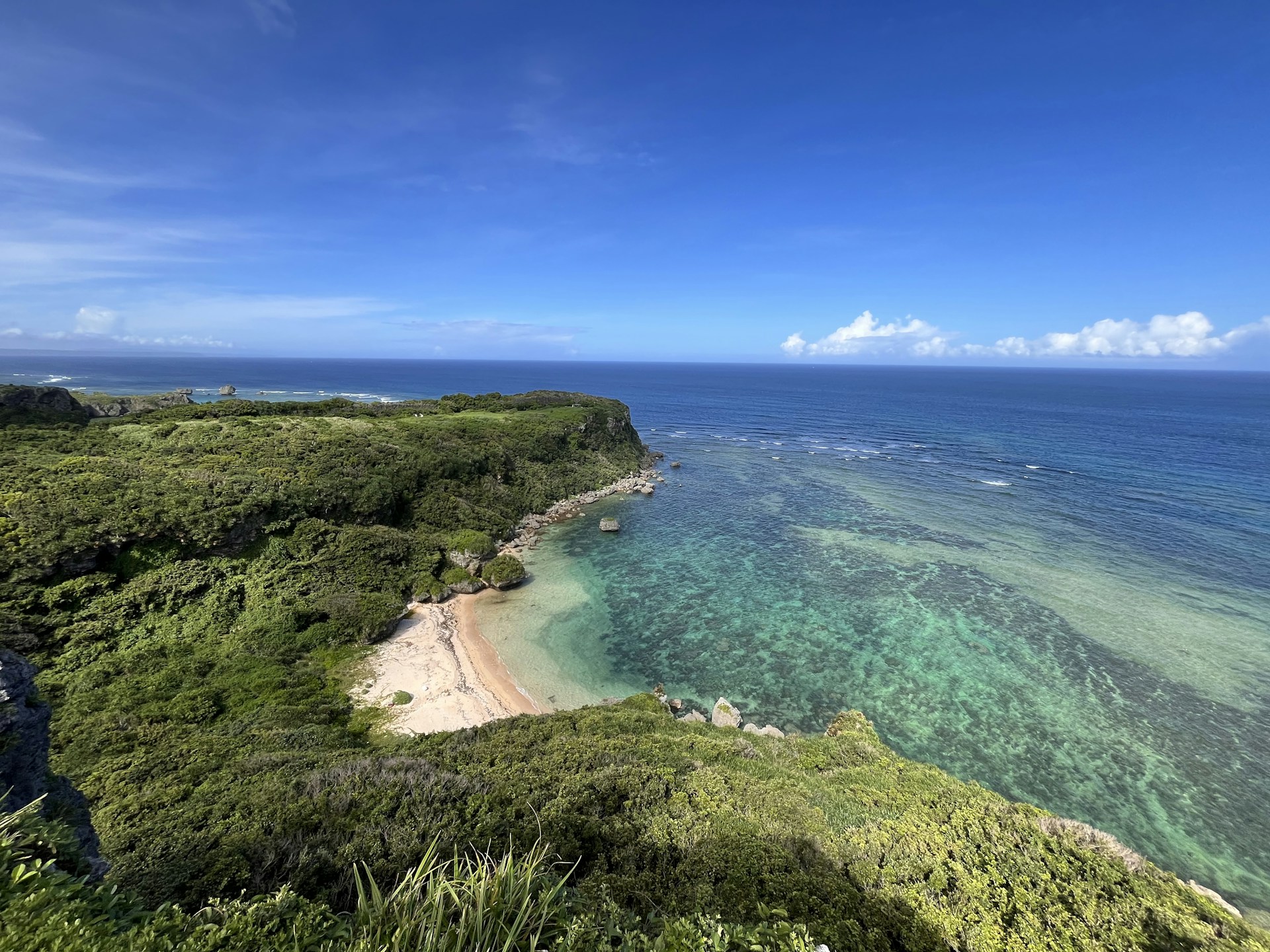 Lush green cliff overlooking a clear blue ocean cove