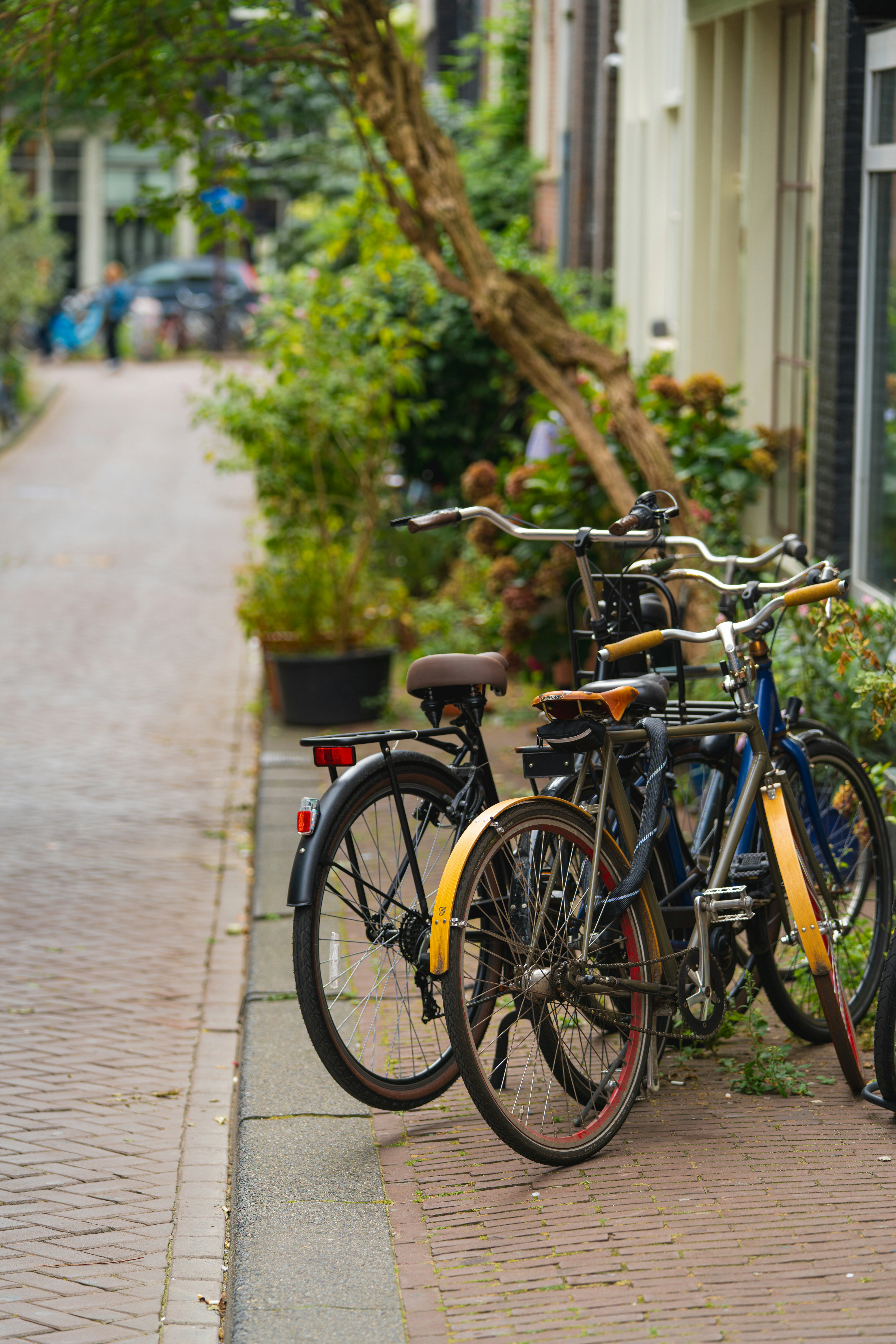 Photo by soroushzargar