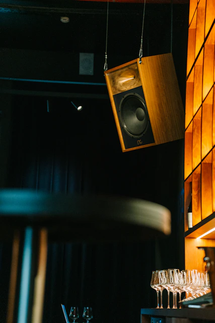 Wooden speaker suspended from ceiling in a modern room.