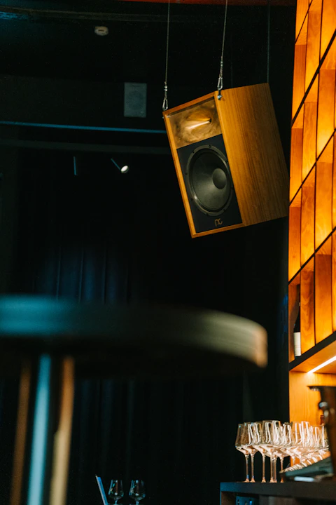 Wooden speaker suspended from ceiling in a modern room.