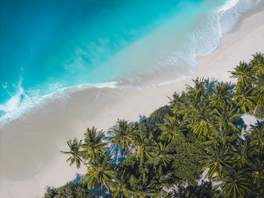 Tropical beach getaway