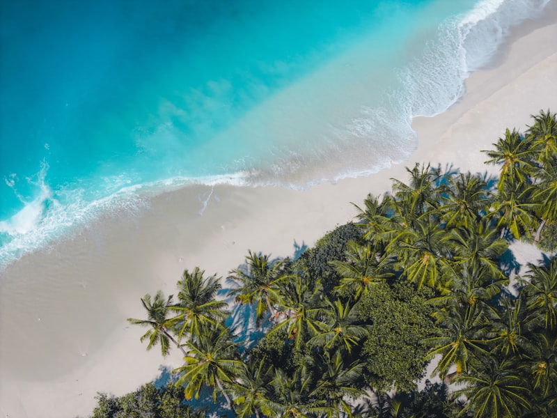 Beachside dining - tropical paradise