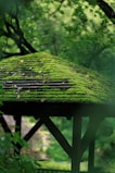 Moss-covered gazebo roof surrounded by lush greenery