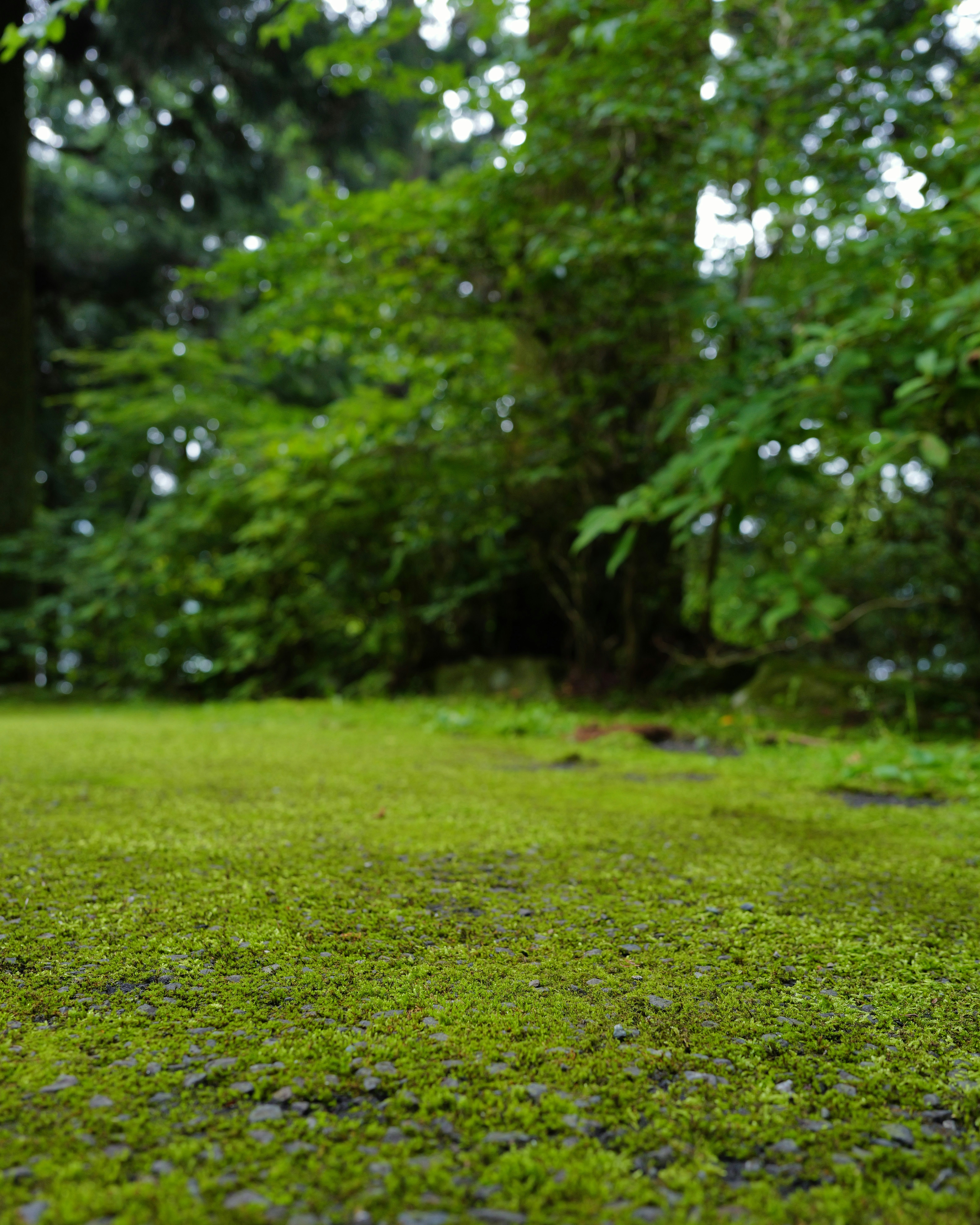 Photo by soflightsto