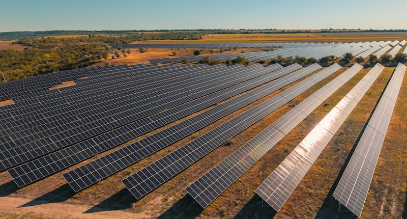 Wide view of solar panels in a field