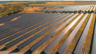Vast solar panel array in a dry, grassy field.