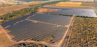 Vast solar panel farm in a rural landscape