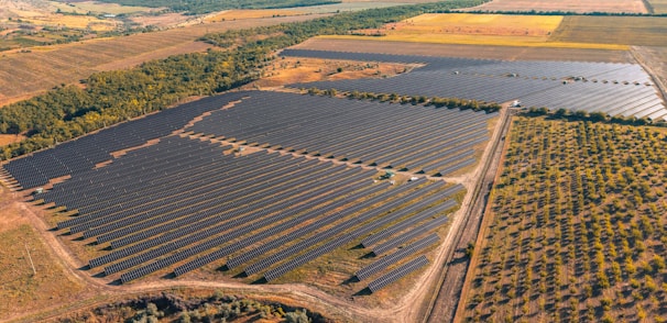 Vast solar panel farm in a rural landscape