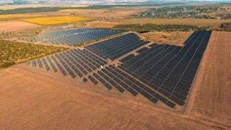 Vast solar panel farm in a rural landscape