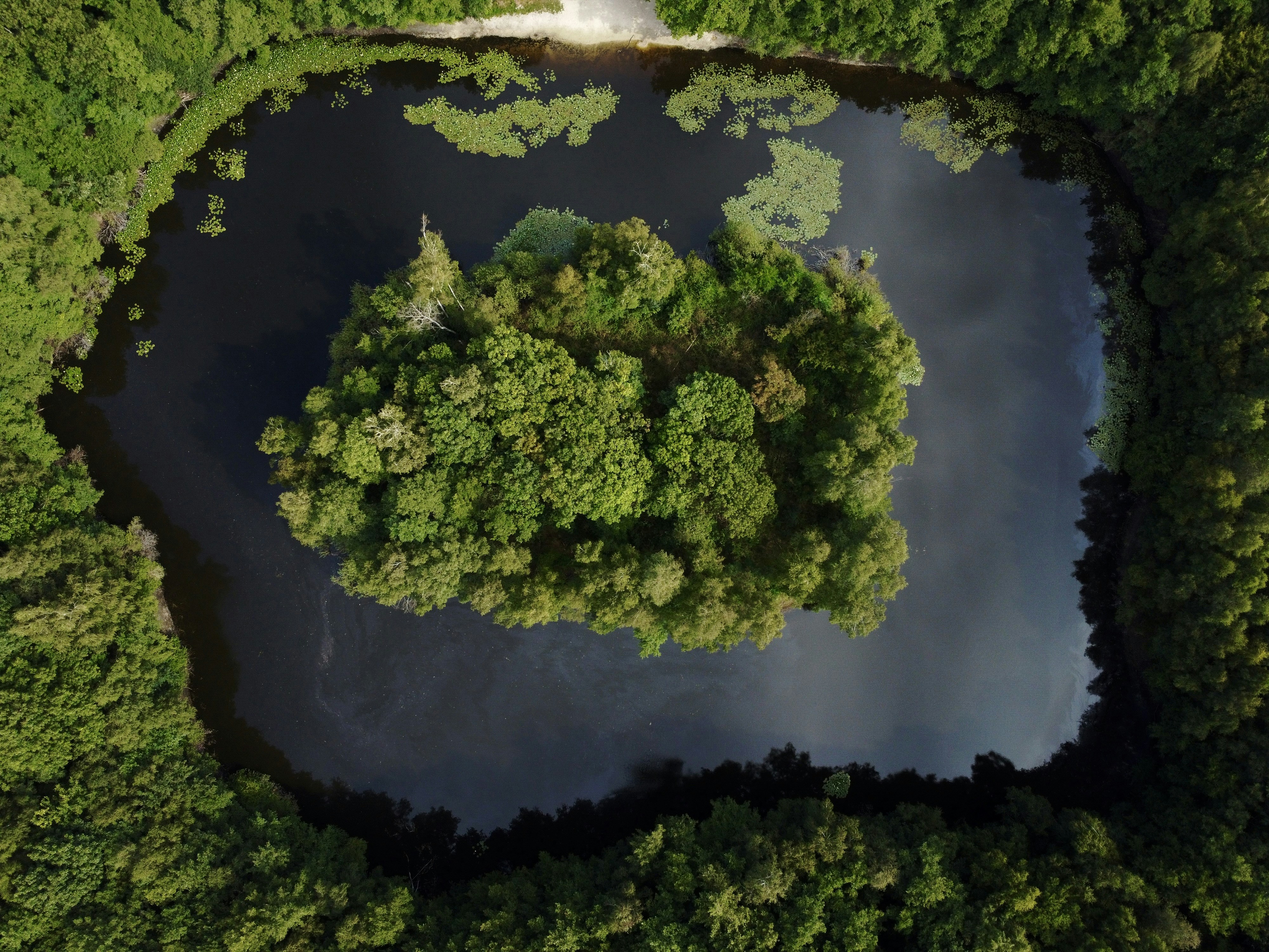 Photo by niklaskrupka