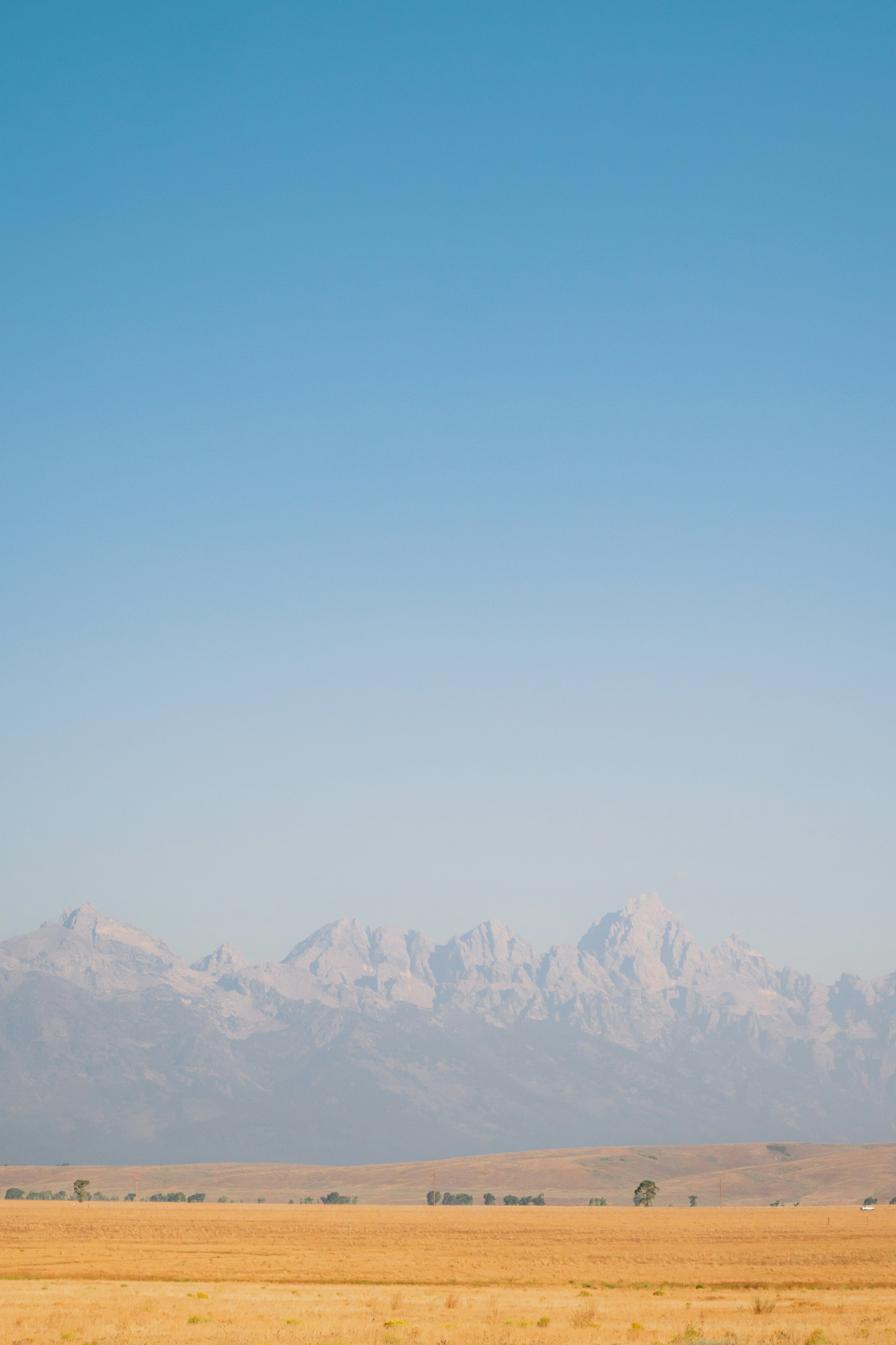 Photo by wonderwallphotos