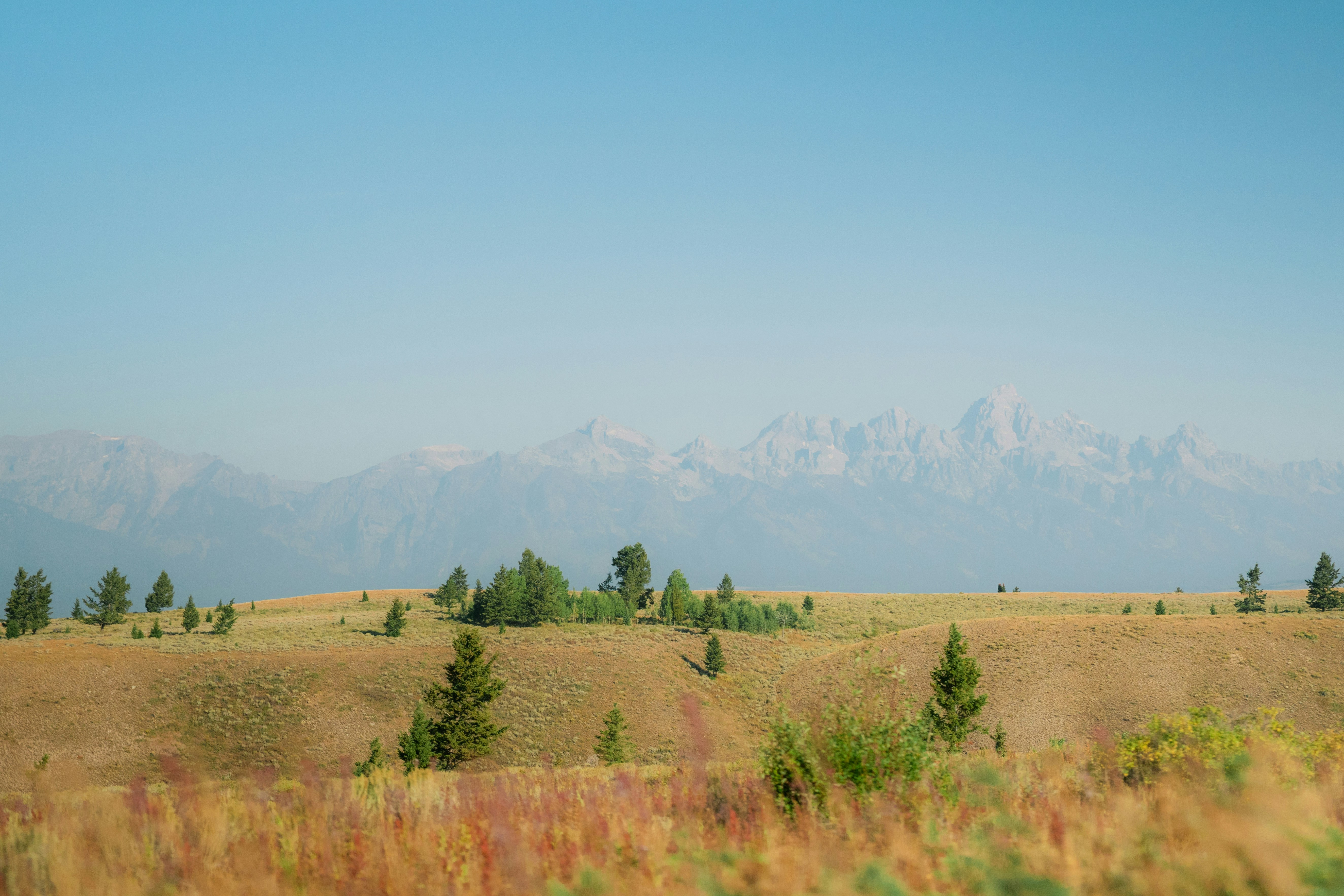 Photo by wonderwallphotos