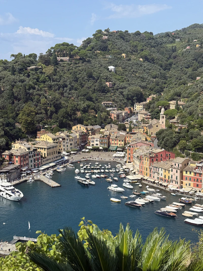 Yachts moored in Portofino harbor, Italy