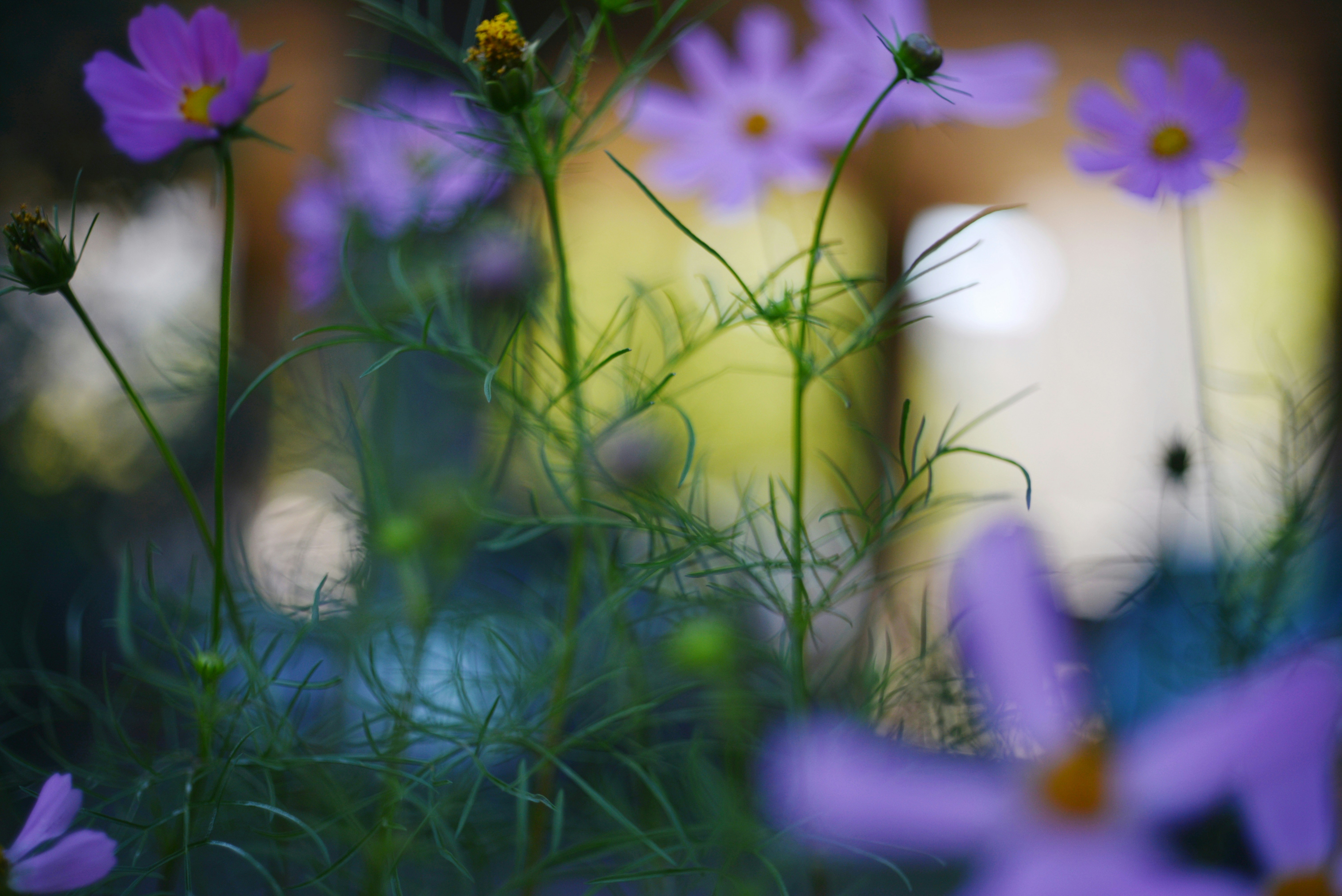 Photo by cherstve_pechivo