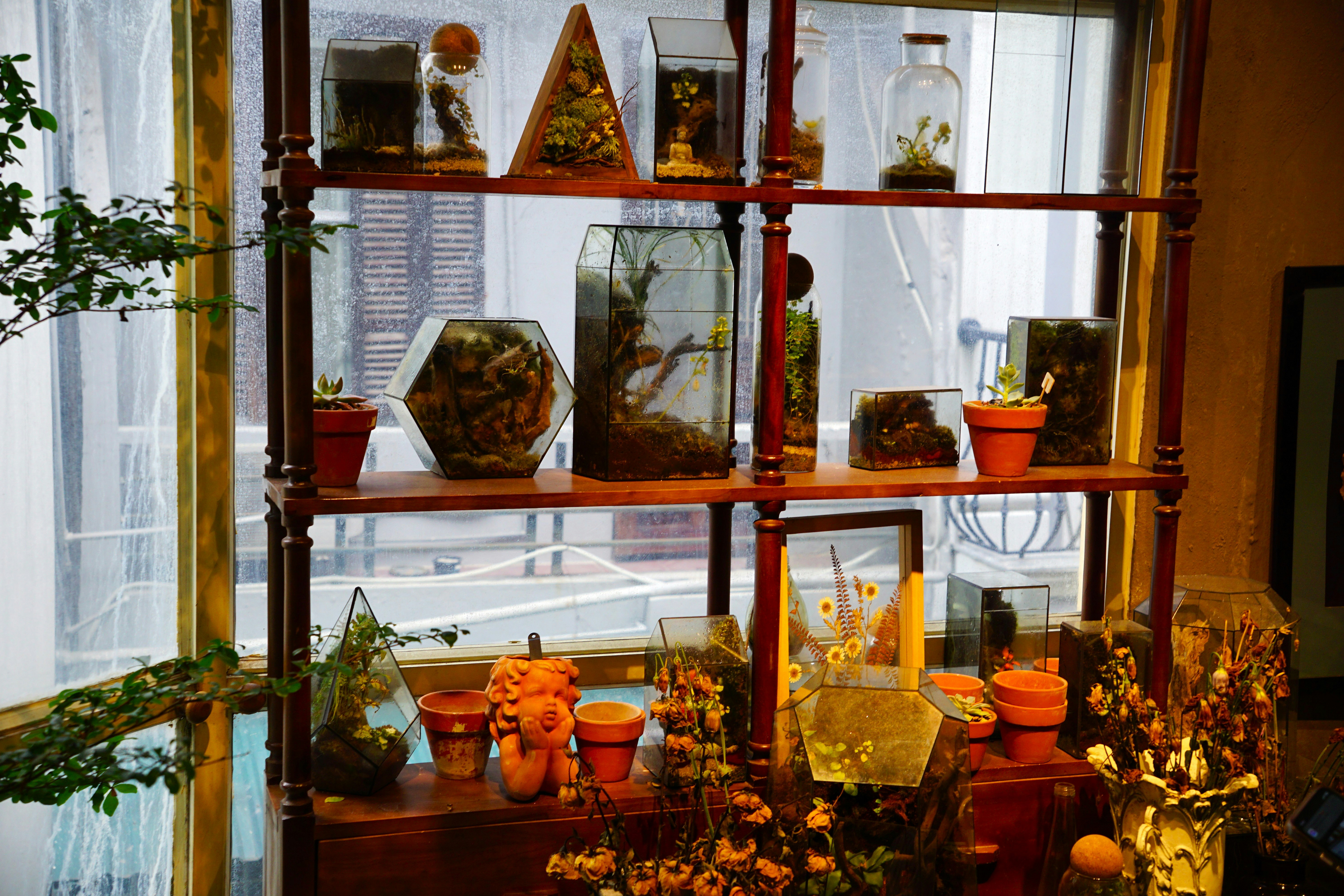 photo-1756919691745-46046ae9248b?ixid=M3wxMjA3fDB8MXxzZWFyY2h8OHx8dGllbmRhJTIwb25saW5lJTIwaGVyYmFsaWZlfGVufDB8fHx8MTc2MjAxNzM0N3ww\u0026ixlib=rb-4.1.0