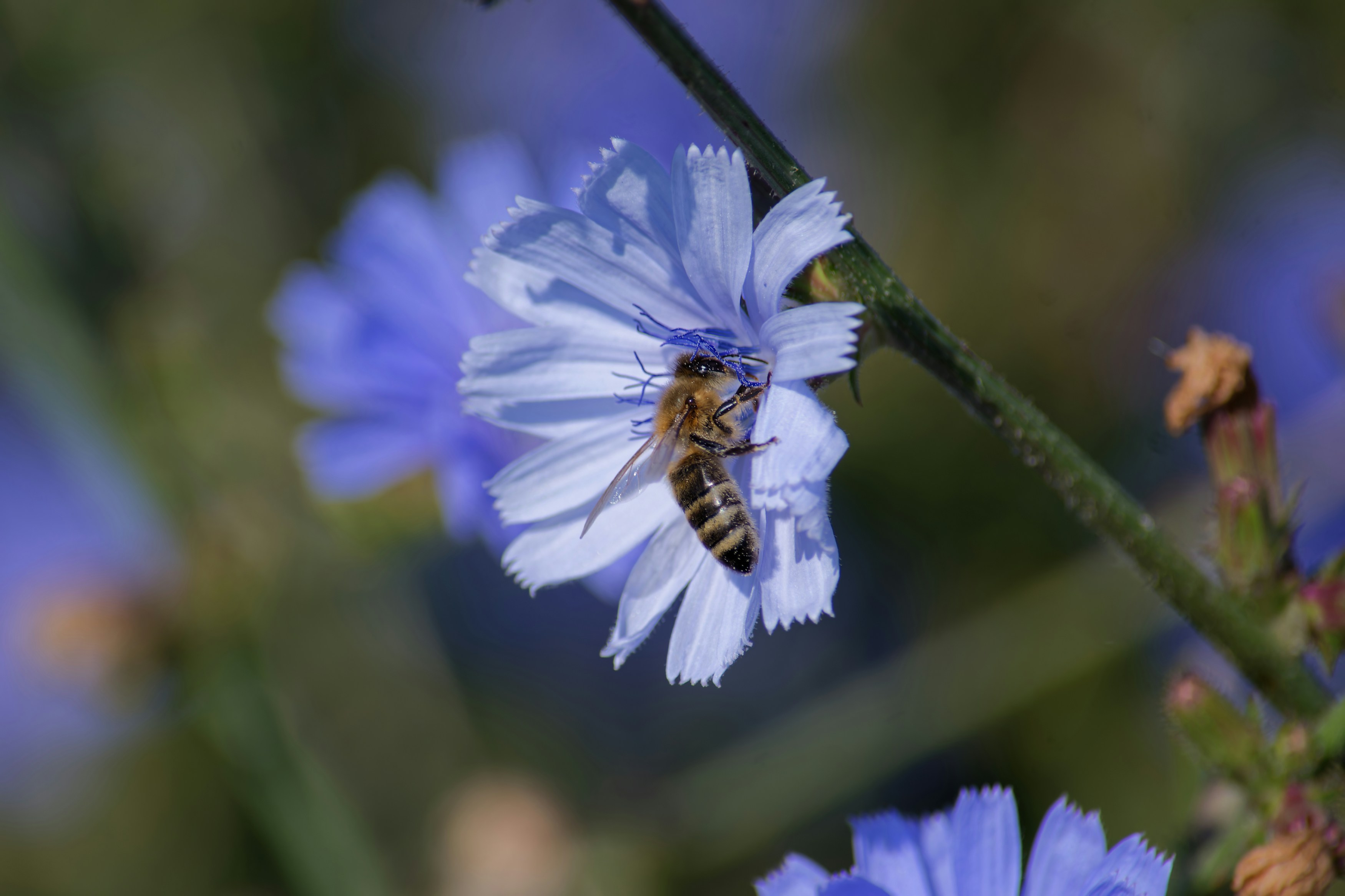 Photo by designbytholen