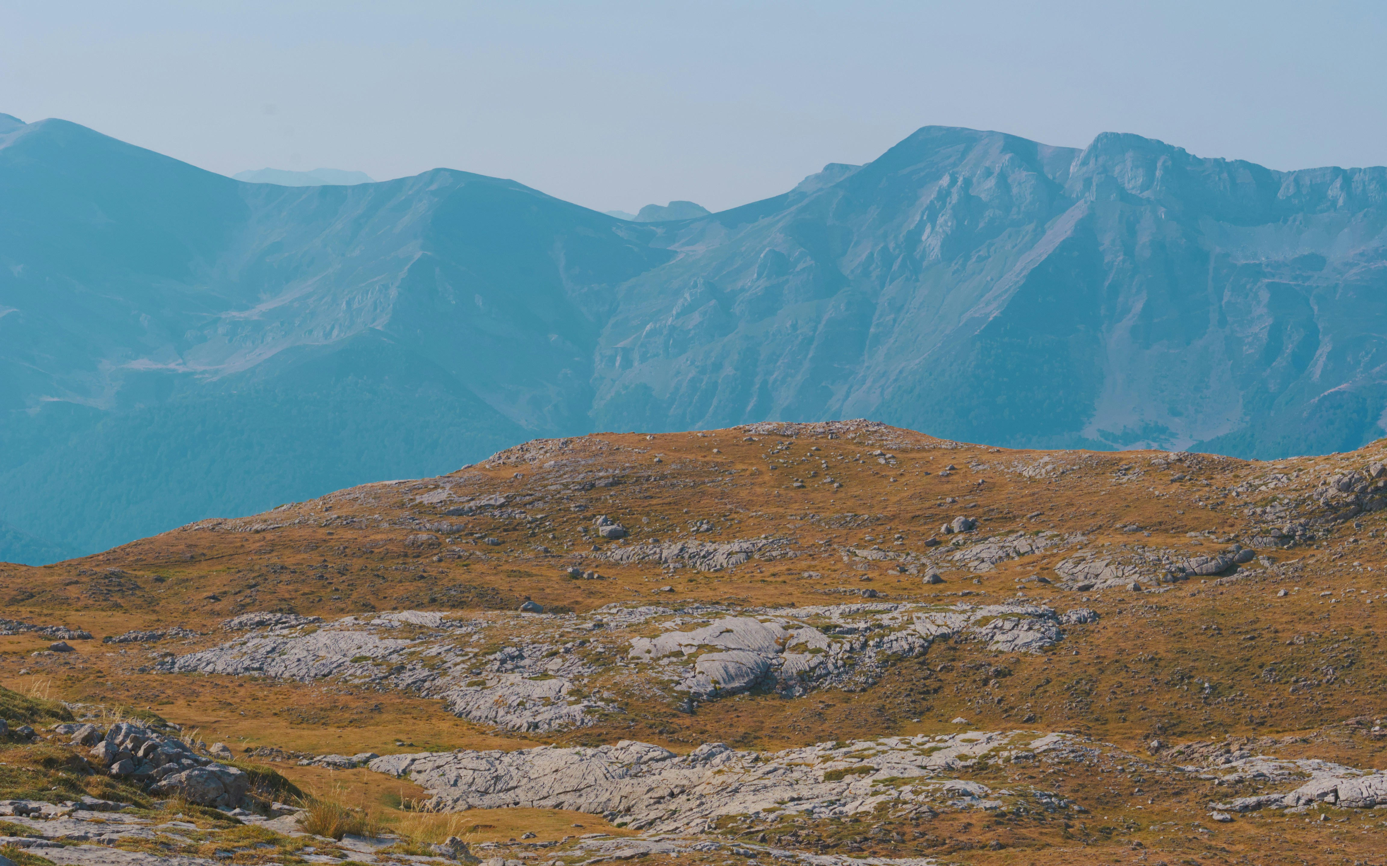 Photo by speeddragon35