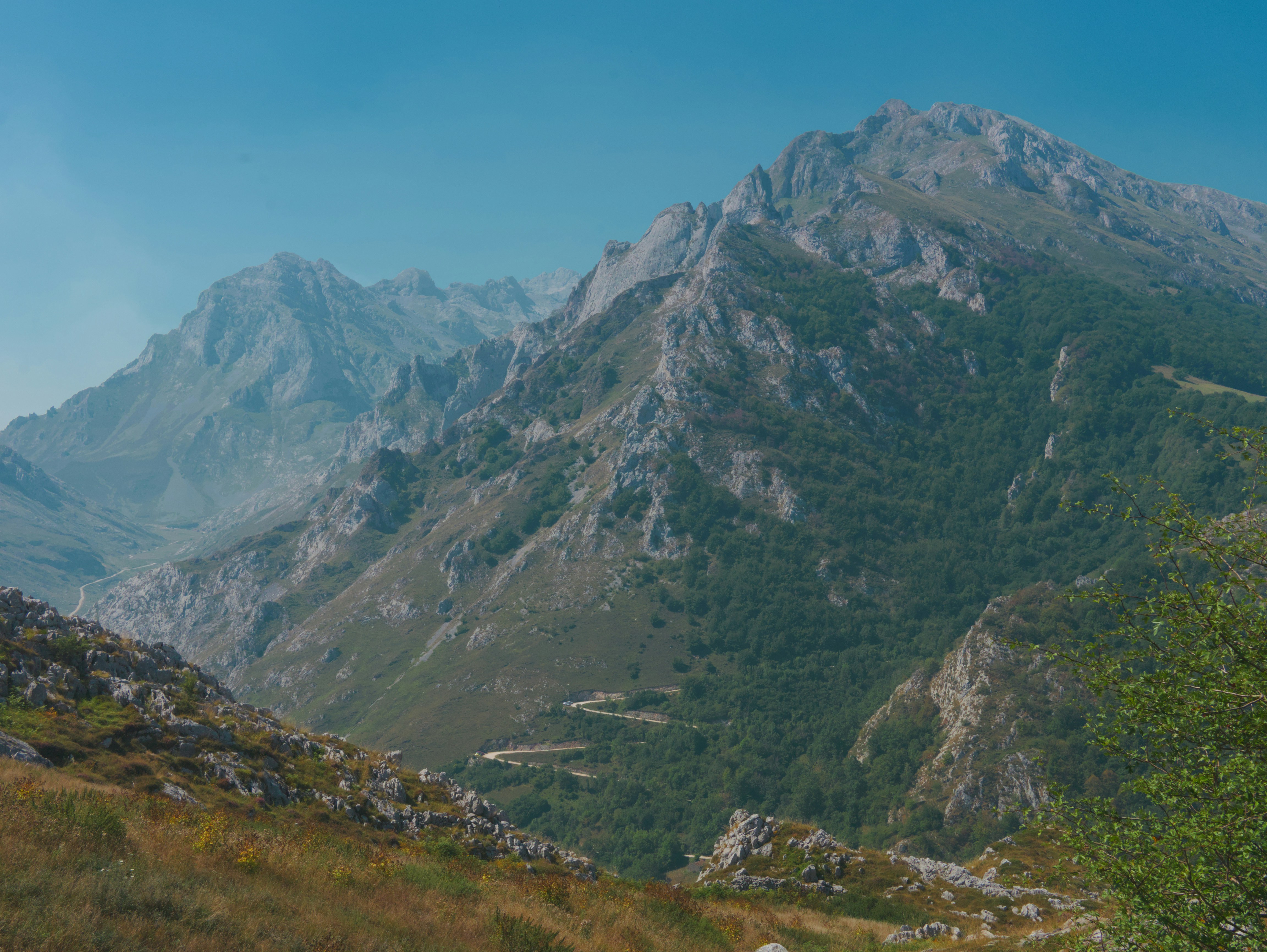 Photo by speeddragon35