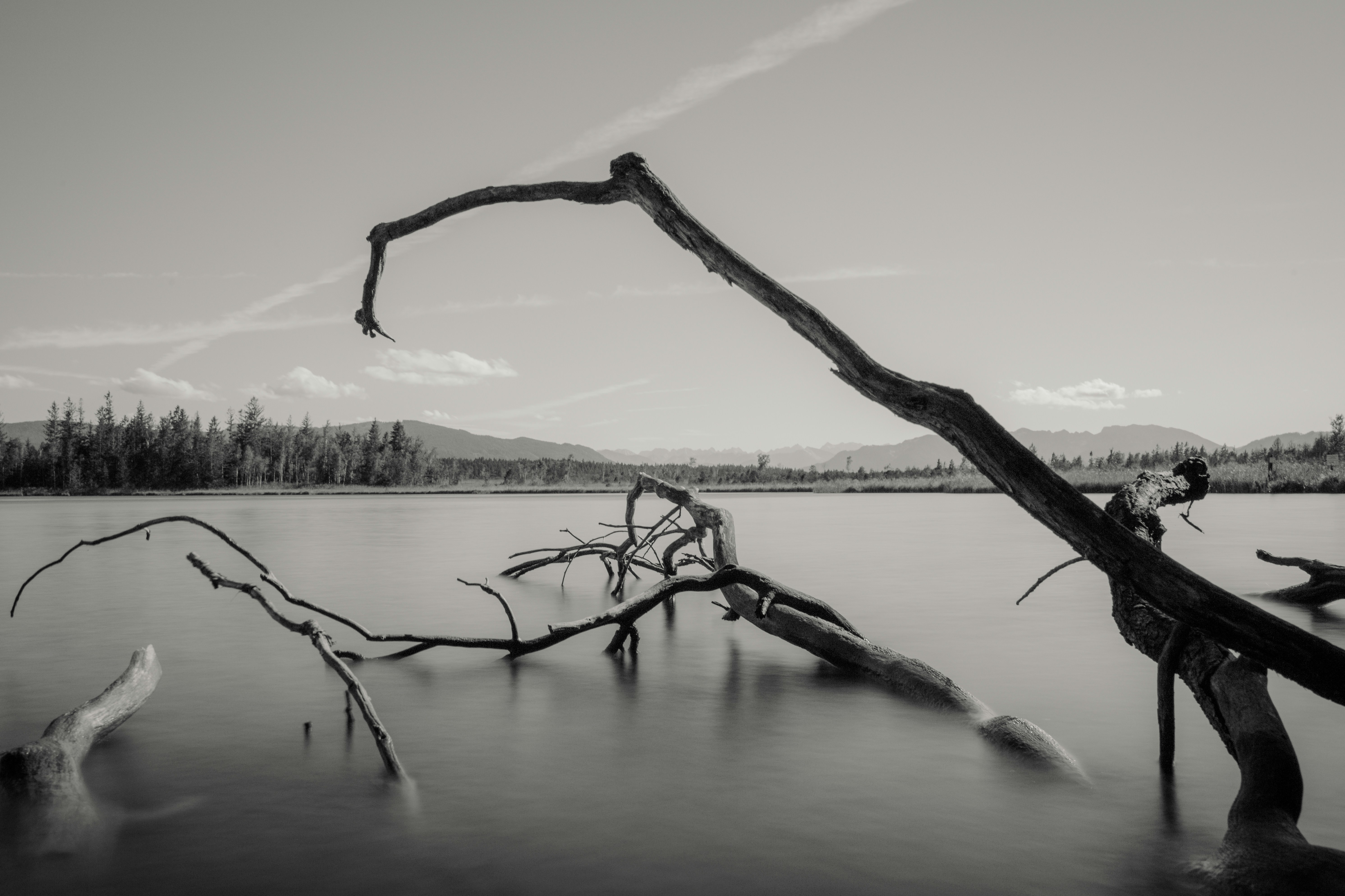 Photo by shutter_speed_