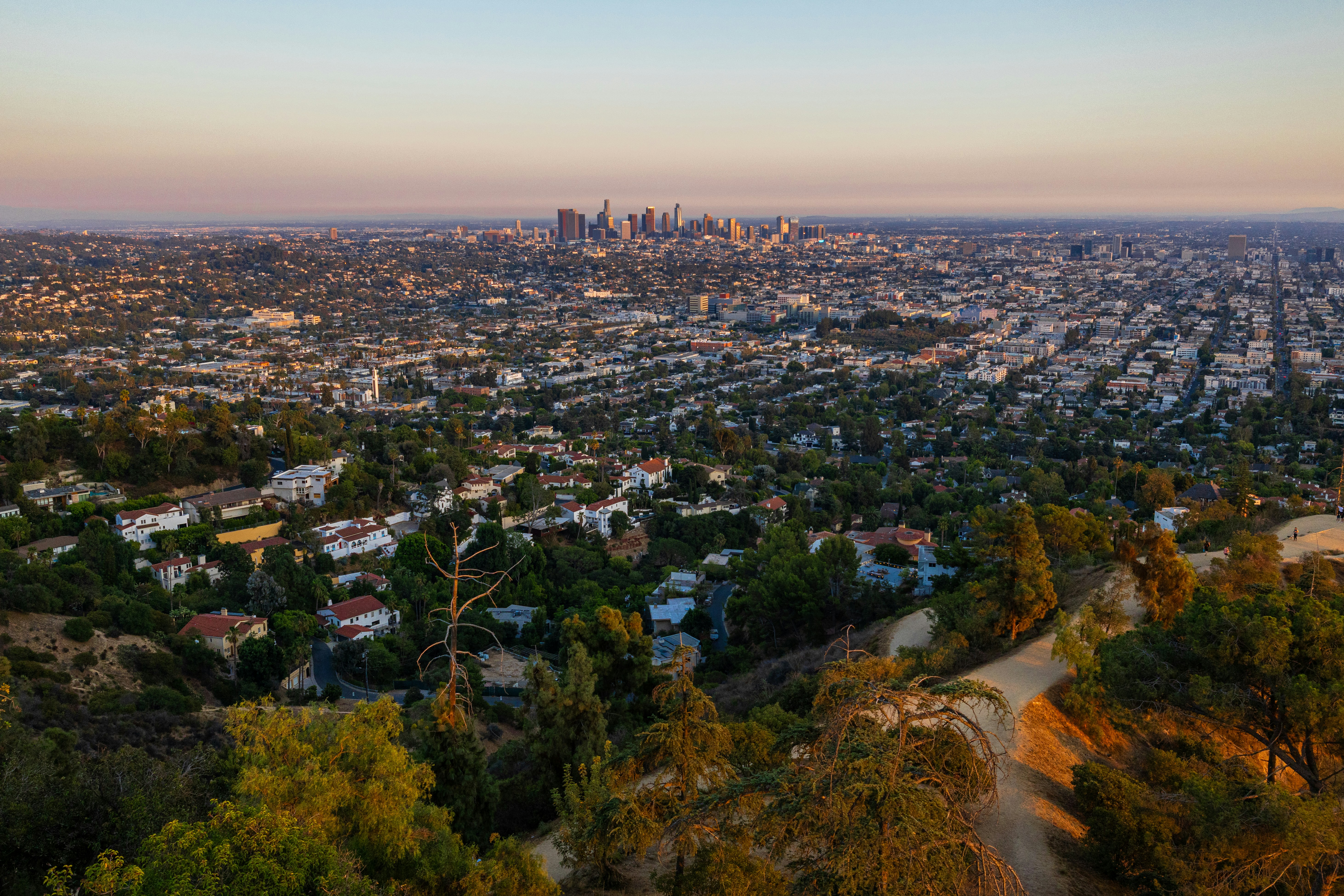 Photo by matty_pearce