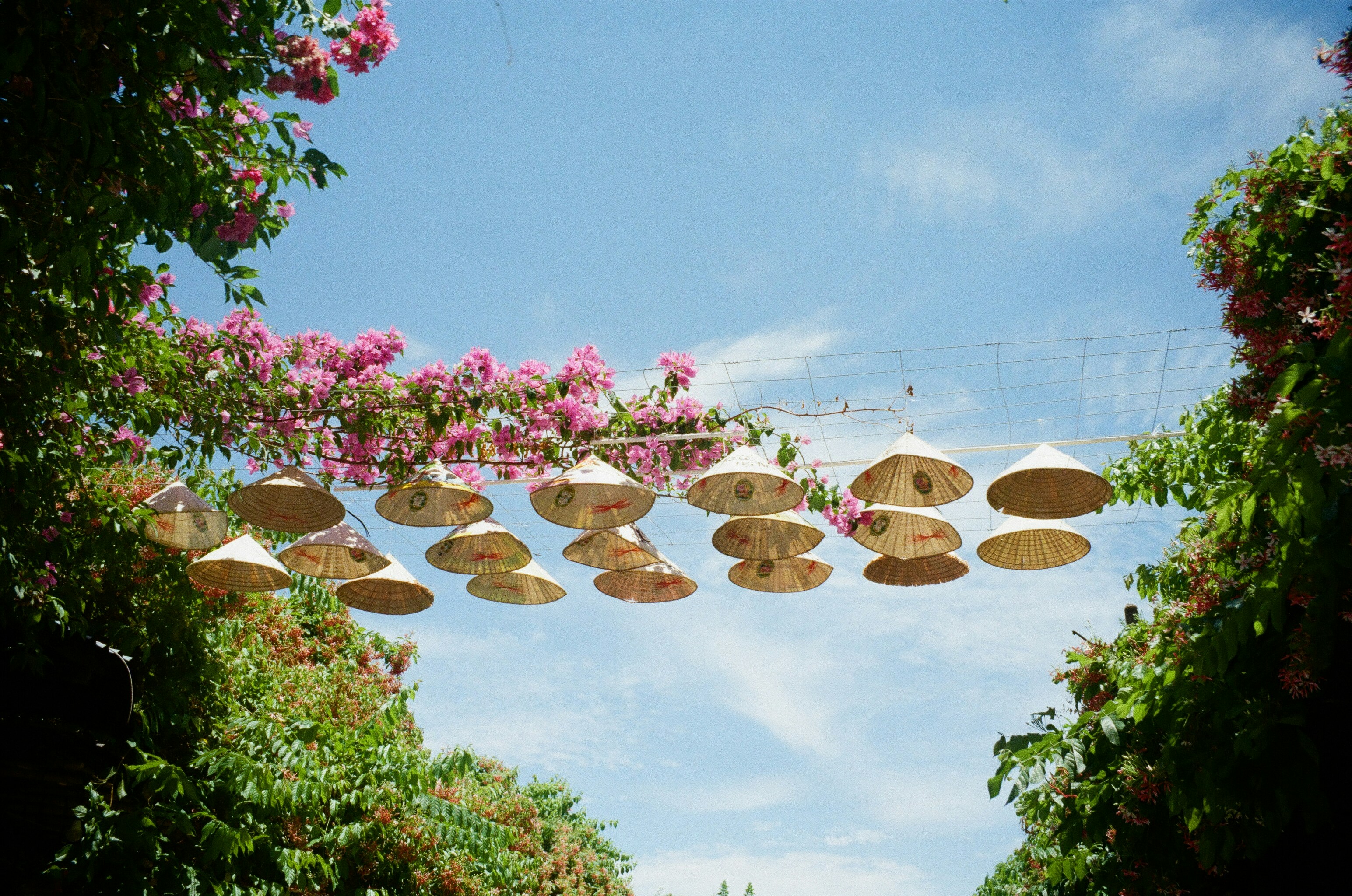 The Reason Everyone Is Talking About Secondary Glazing Maintenance Right Now