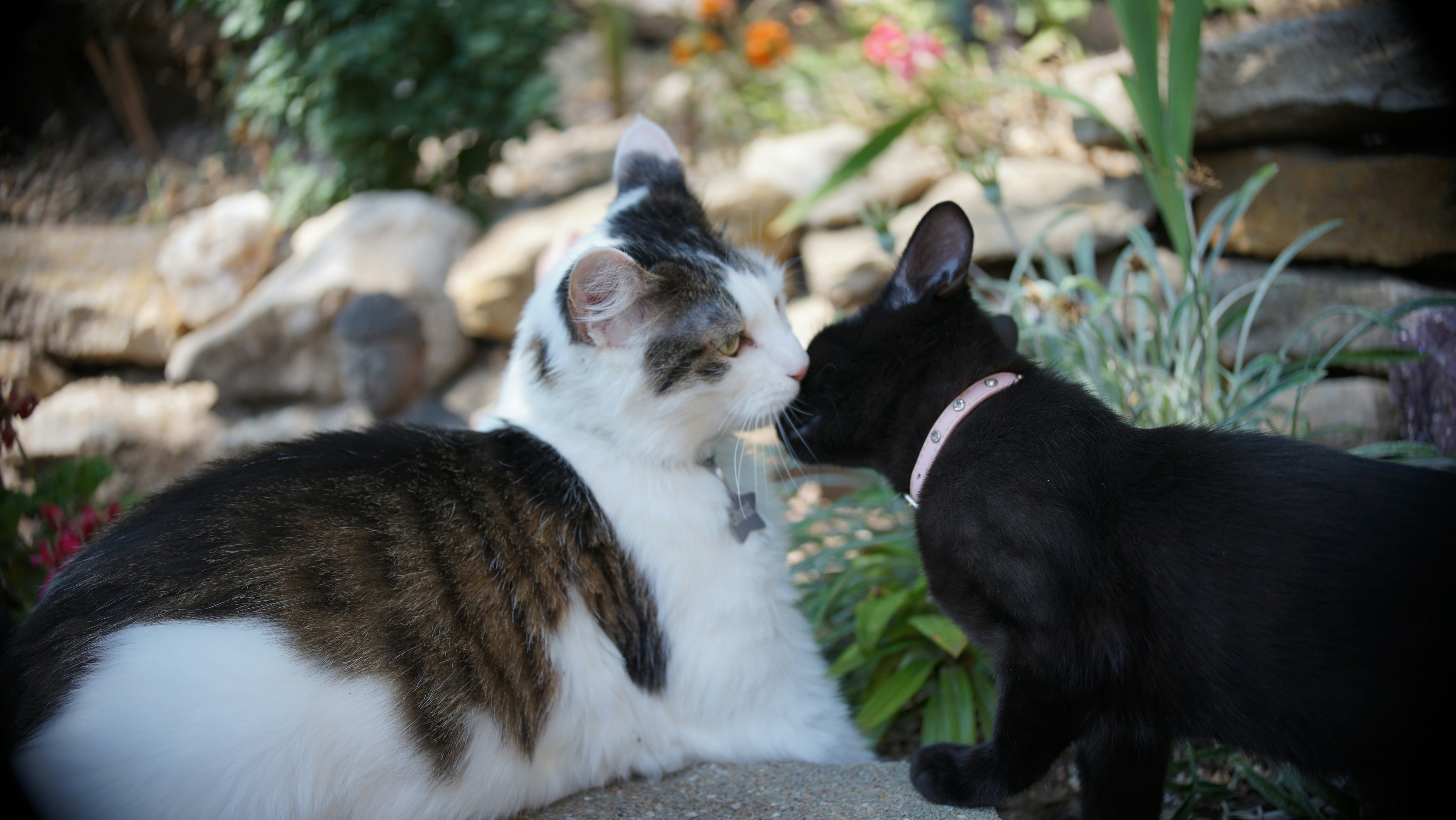 Photo by hannahslensphotography