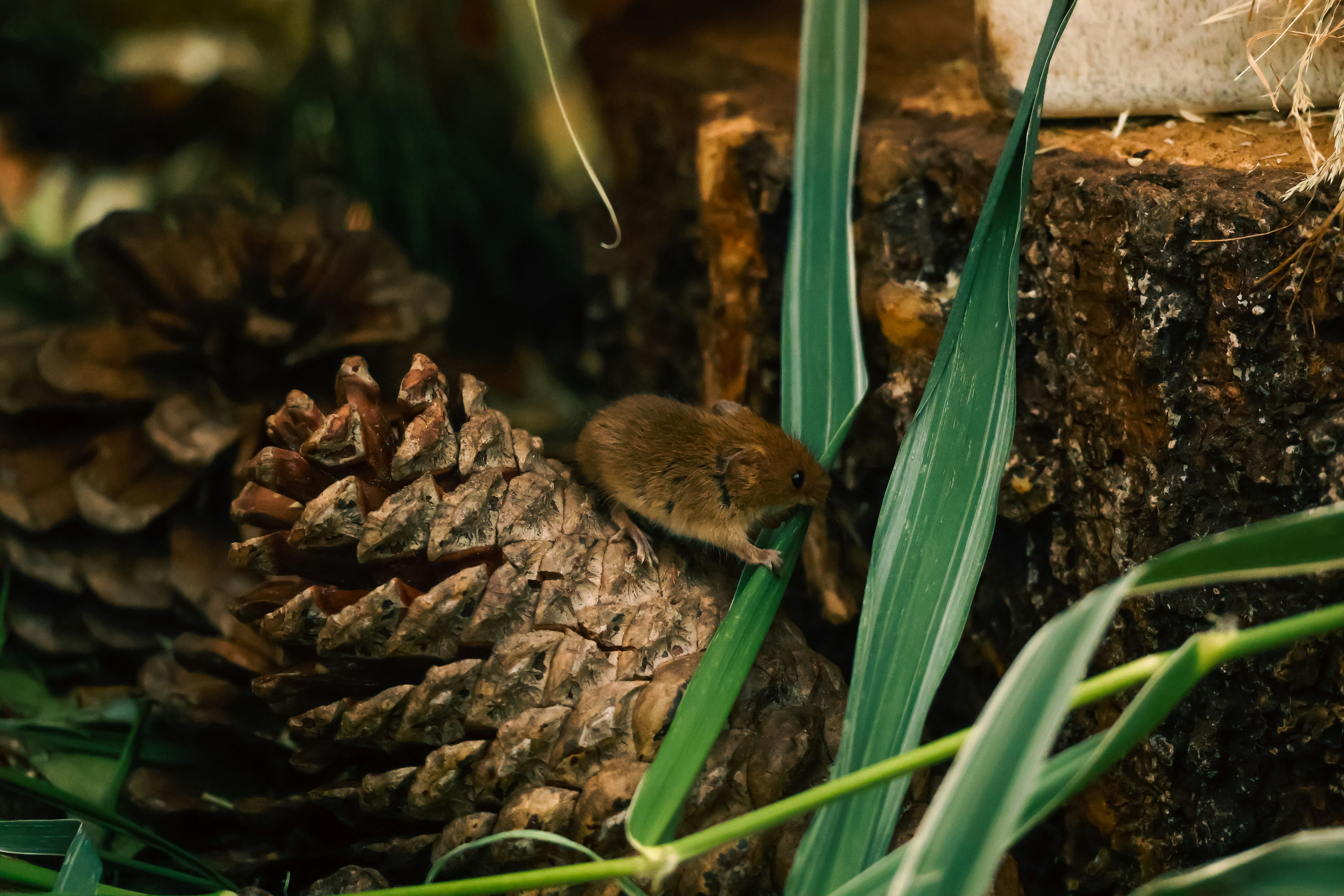 Photo by owensellwood