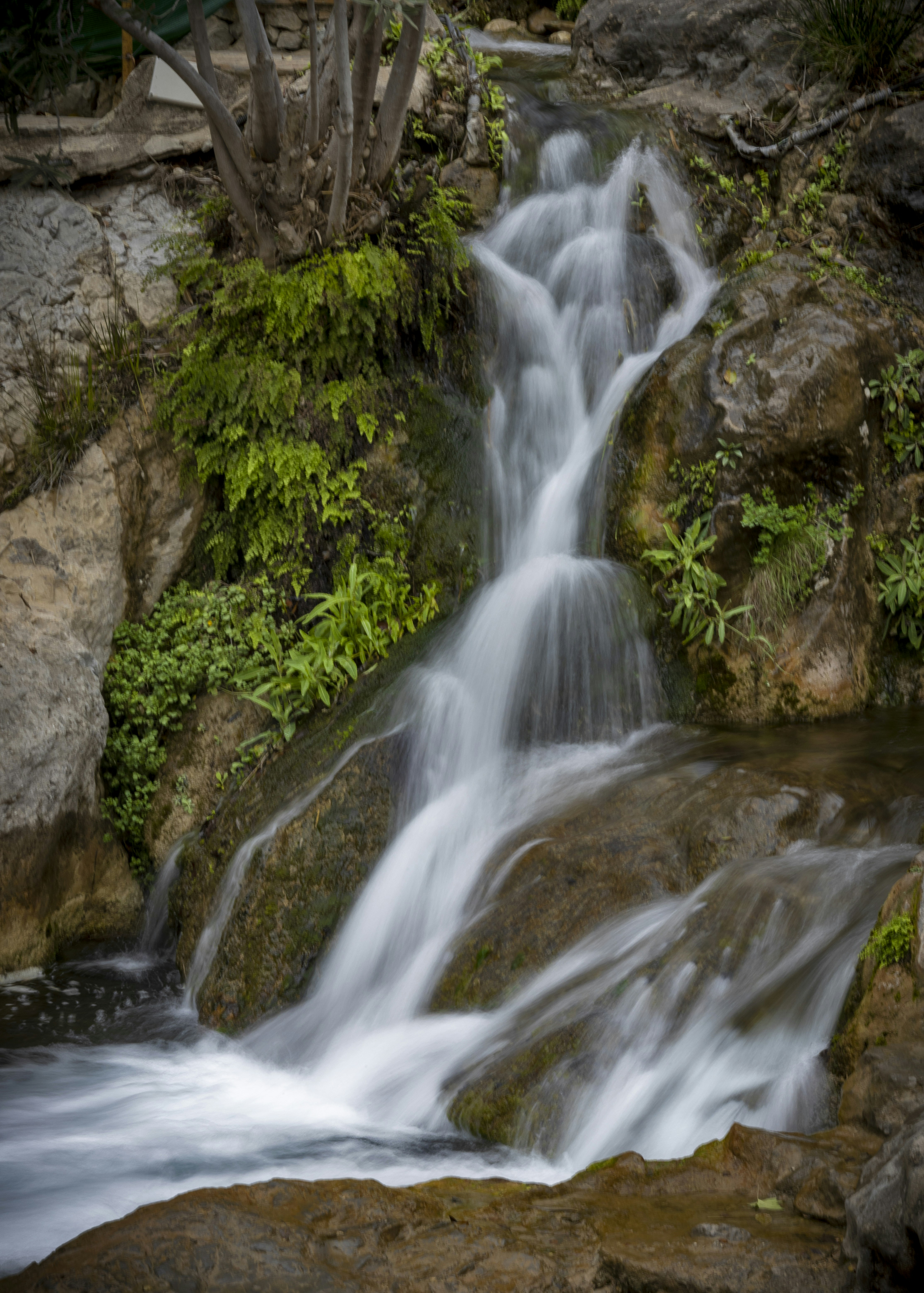 Photo by gabyfishmanfosbery