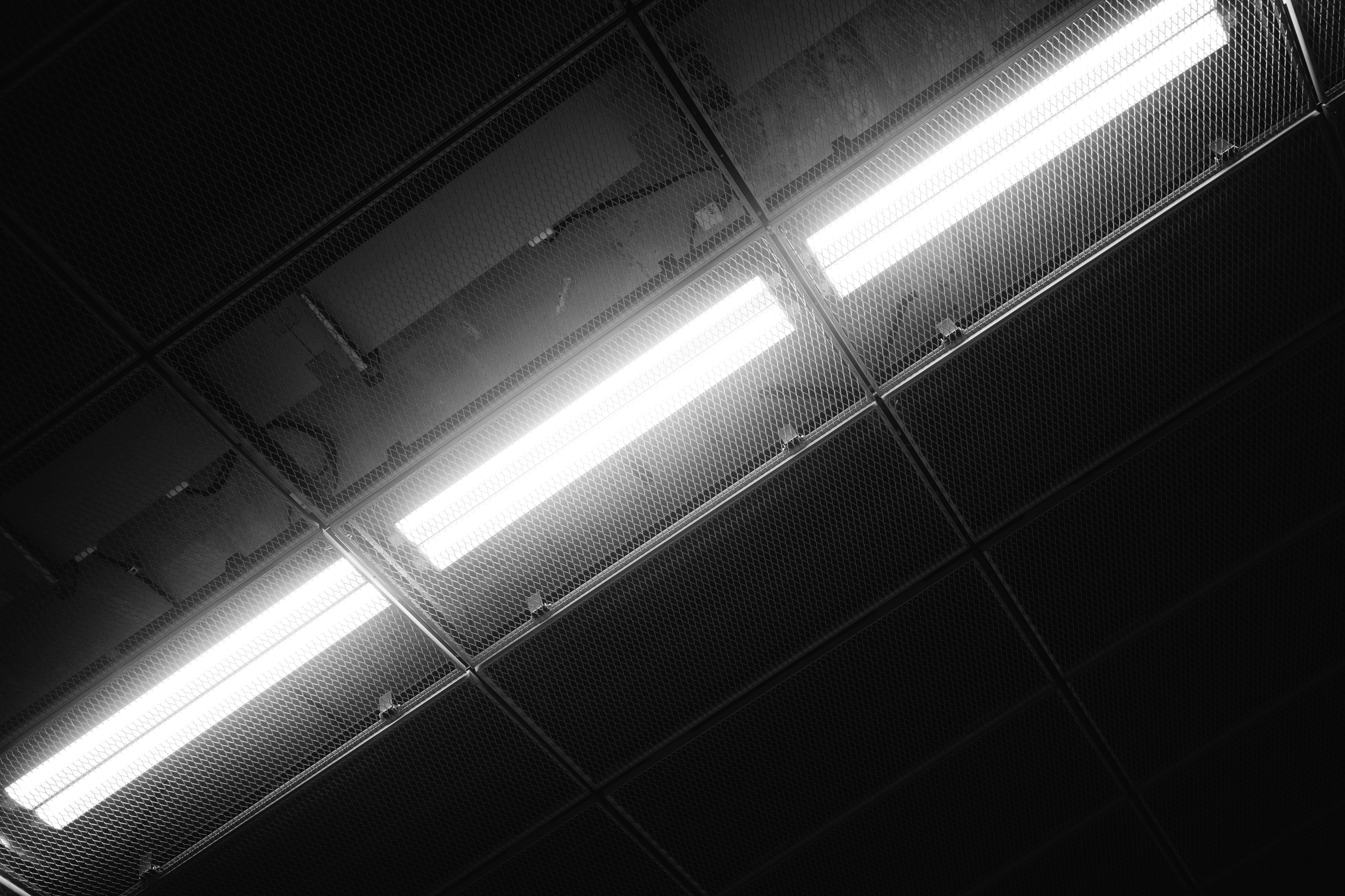 Photo by simonbasler