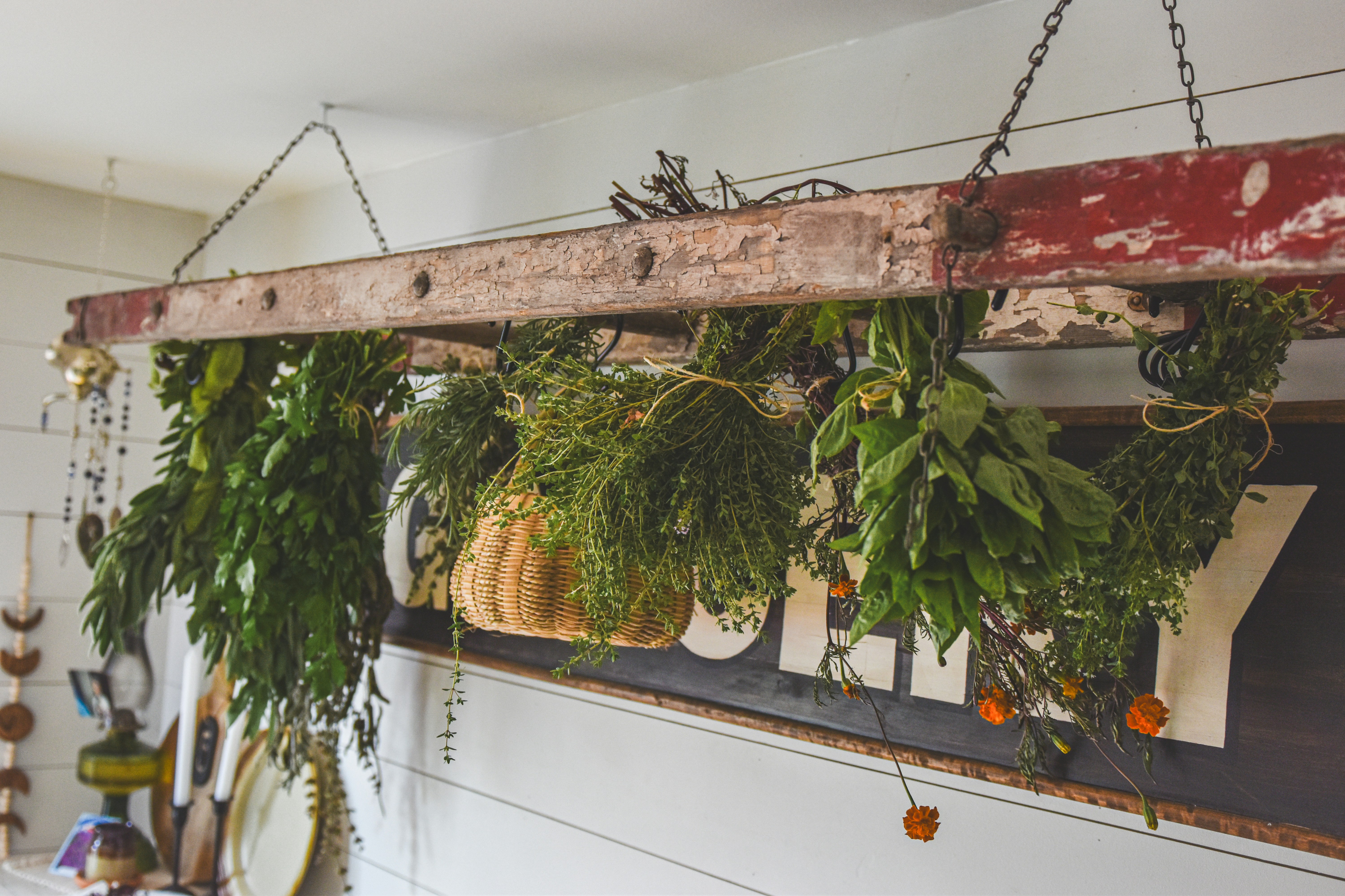 A variety of fresh herbs growing in small pots on a sunny windowsill.