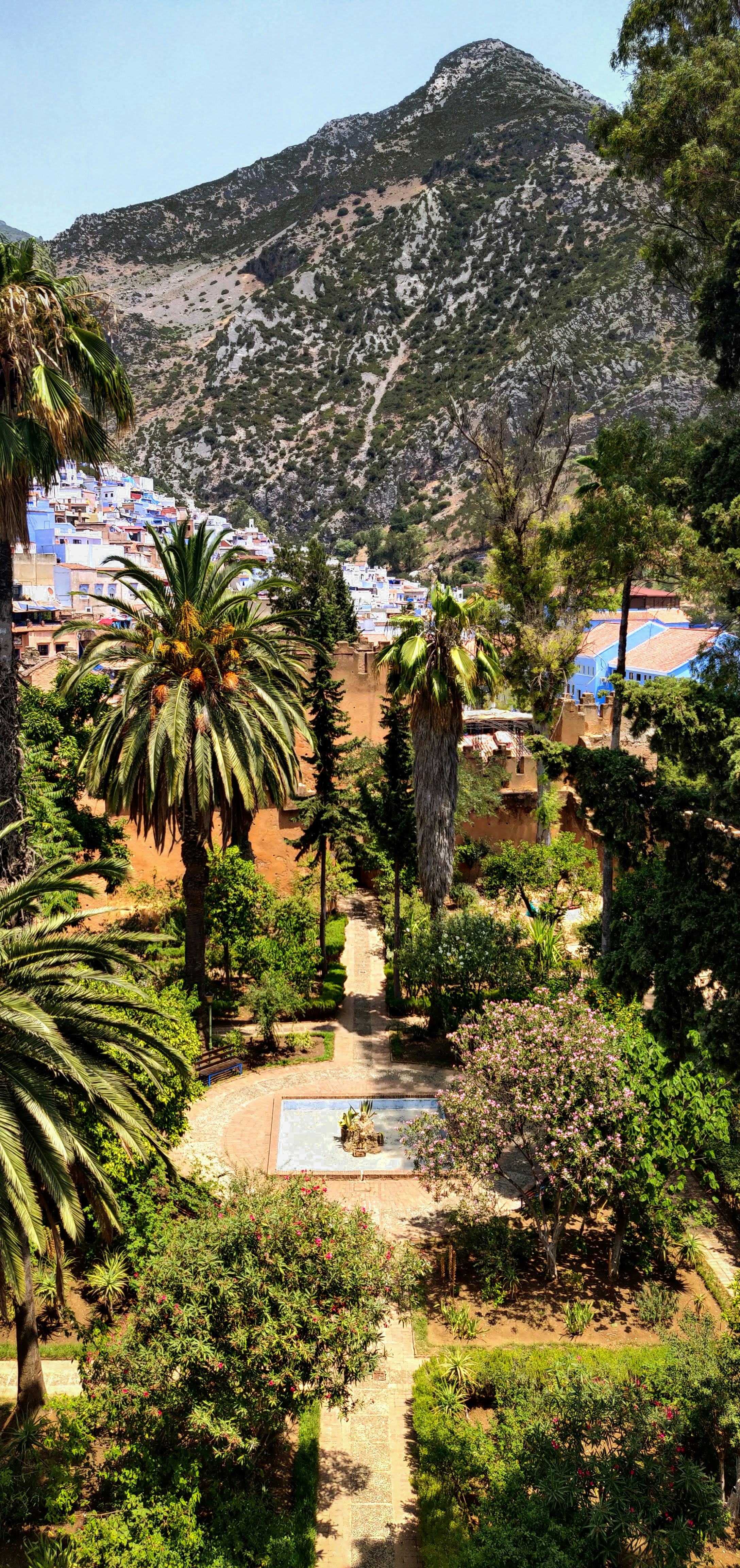 Mountain village with lush gardens and palm trees.