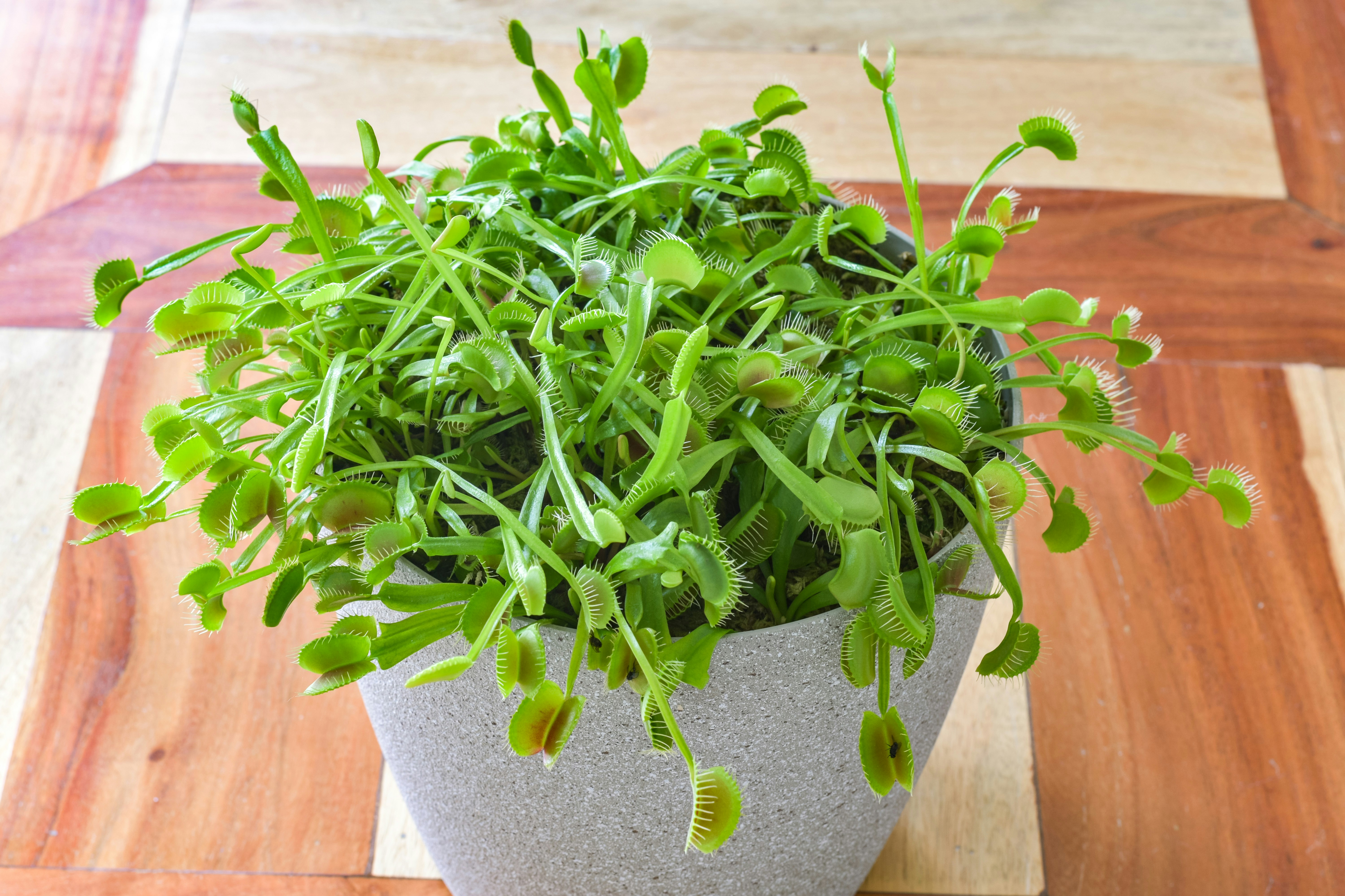 Photo by sschusterphotoart