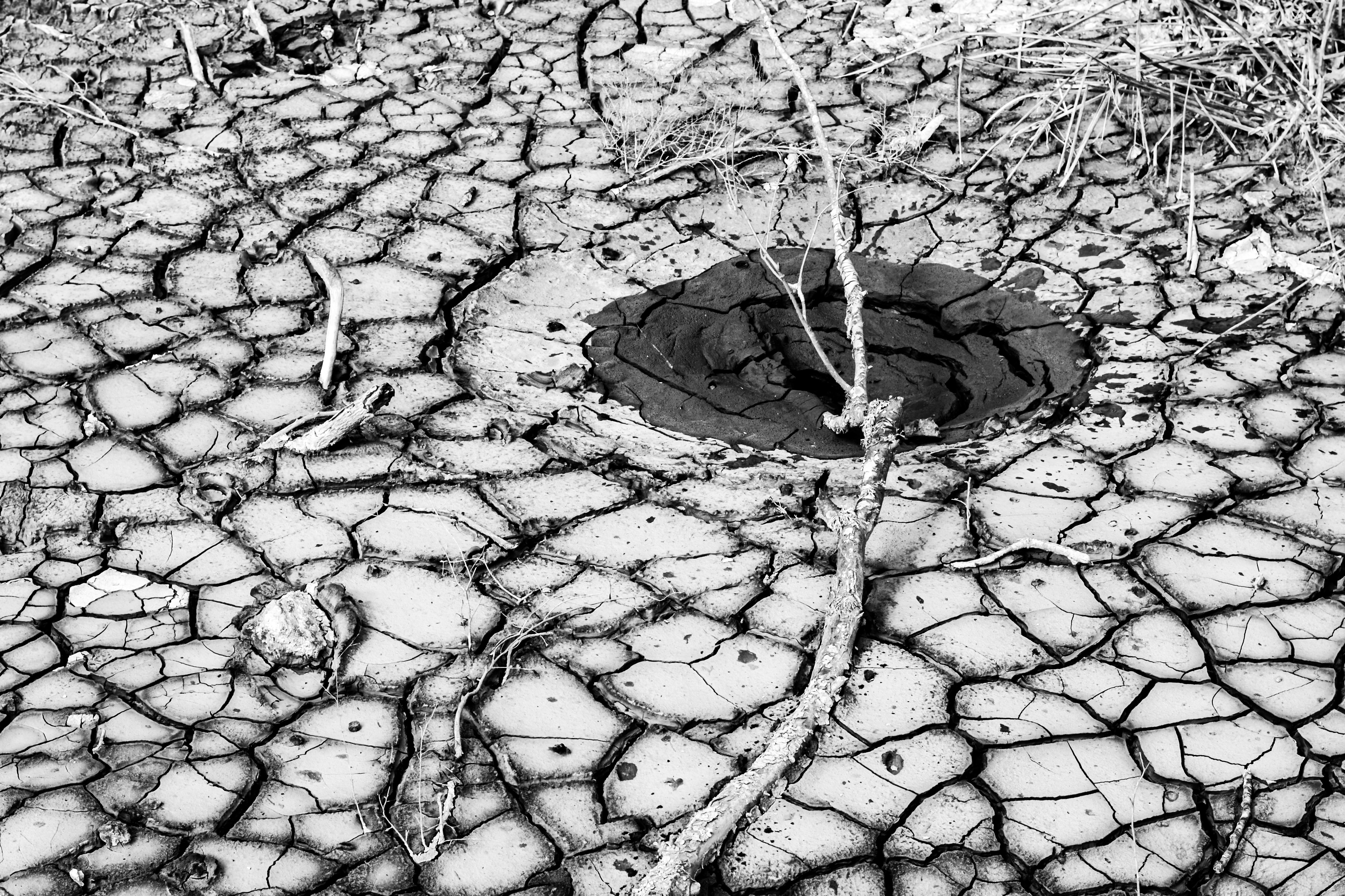 Photo by sschusterphotoart