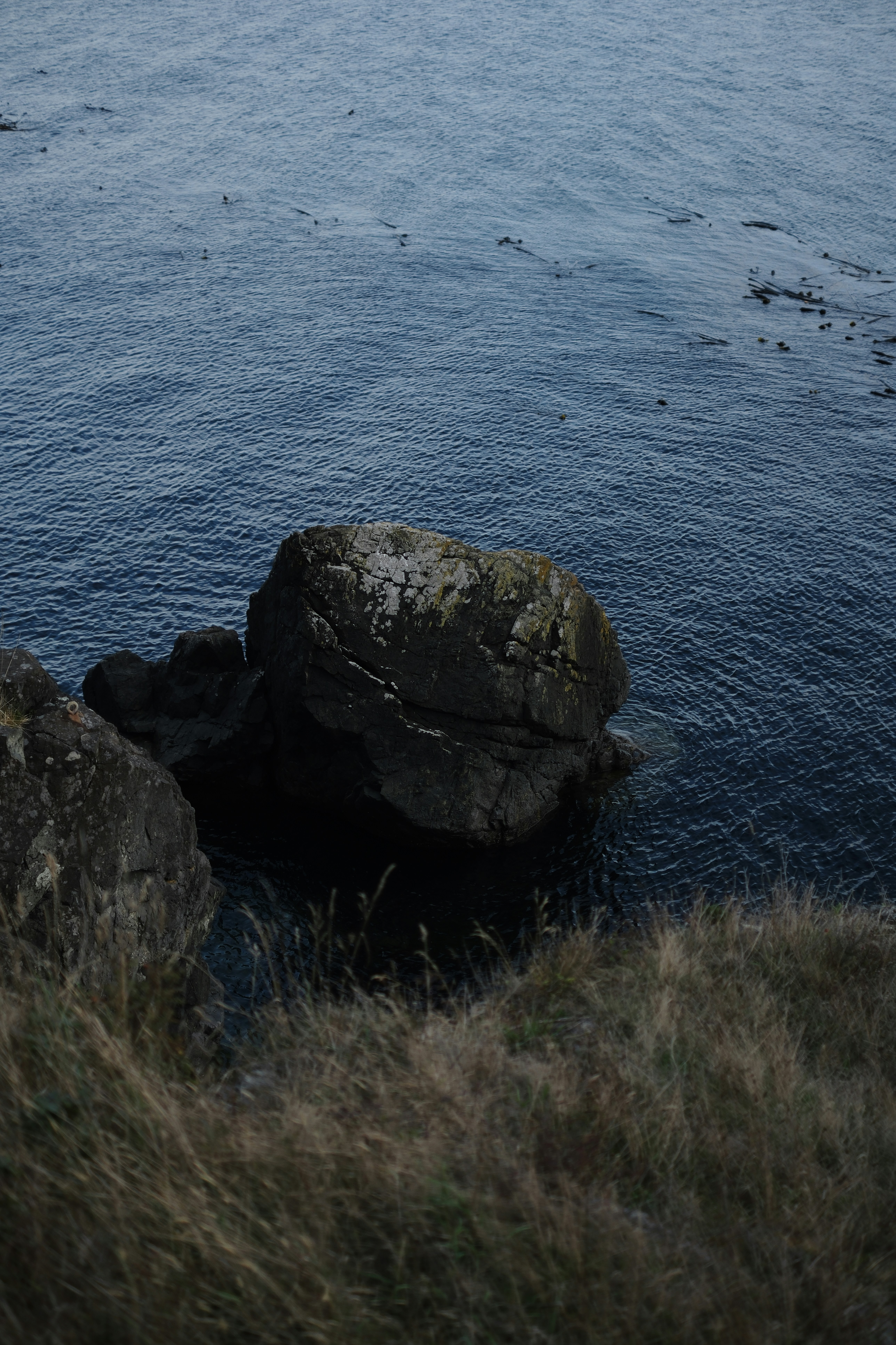 Large rocks in the ocean near grassy shore