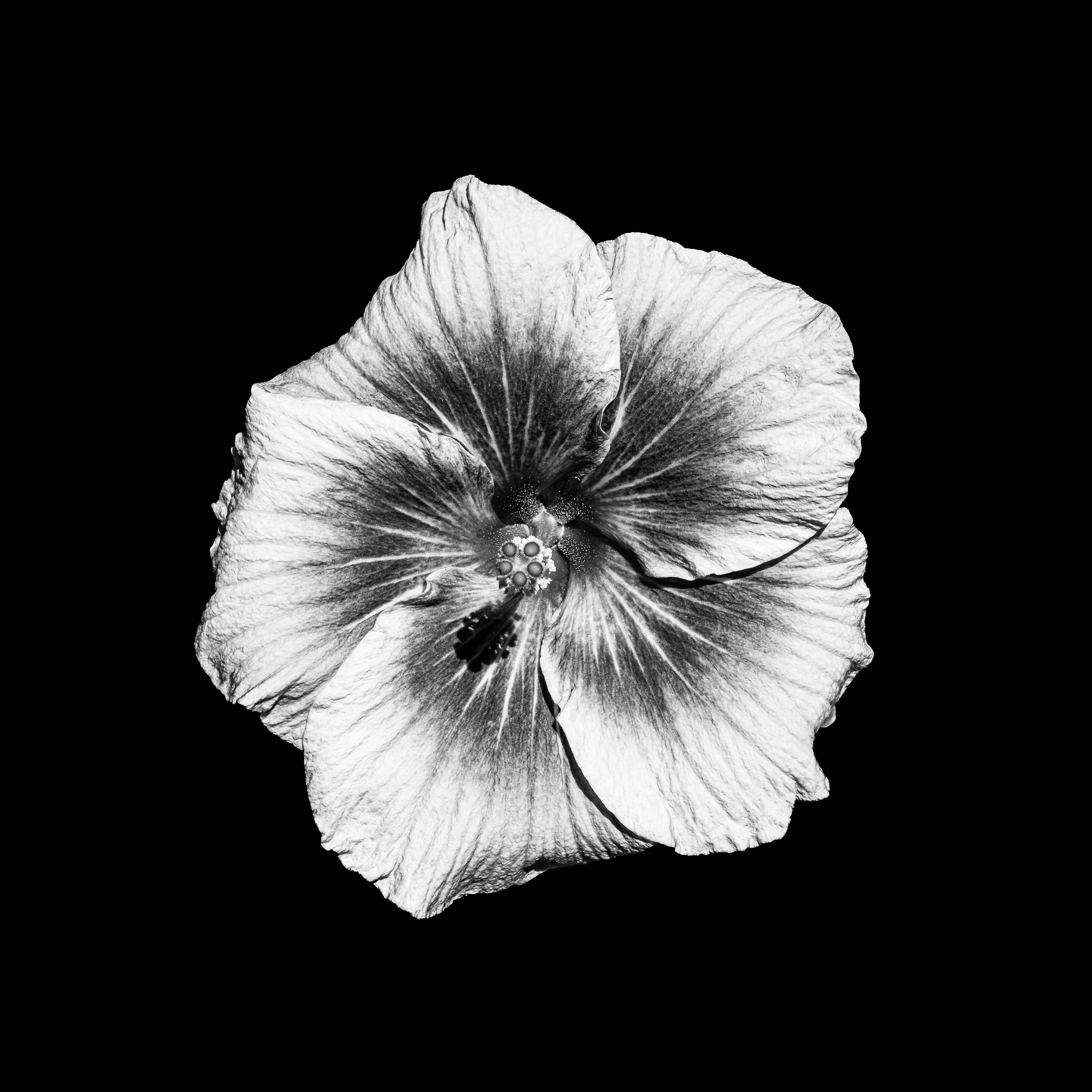 Photo by sschusterphotoart