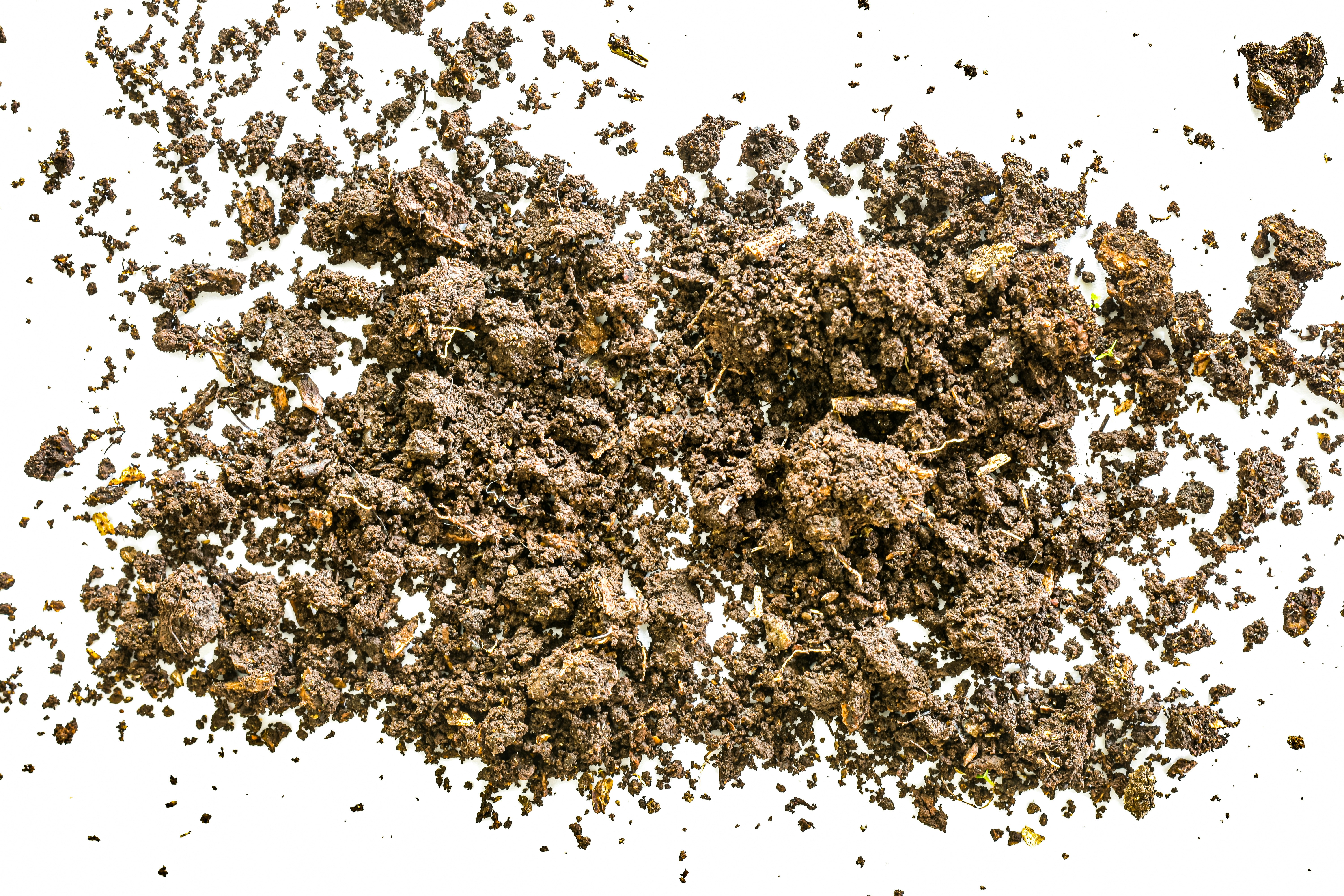 Photo by sschusterphotoart